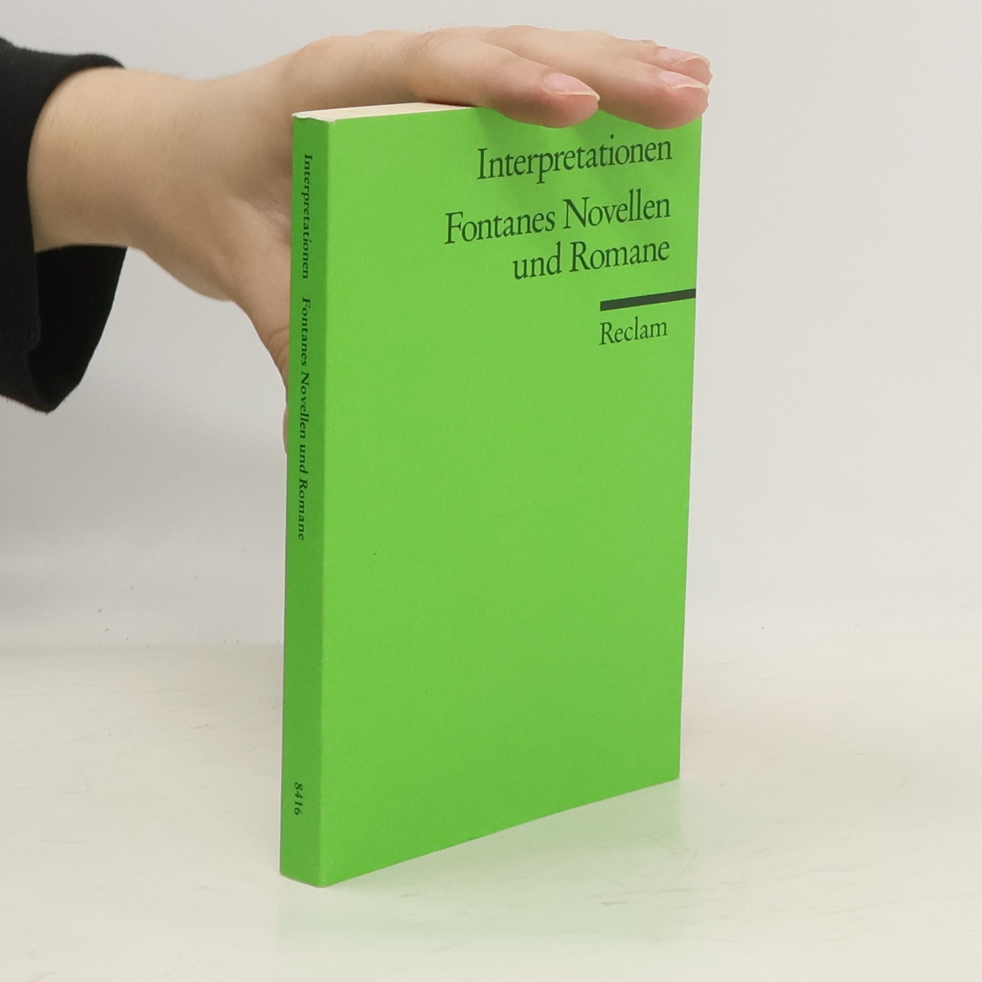 Christian Grawe Fontanes Novellen und Romane