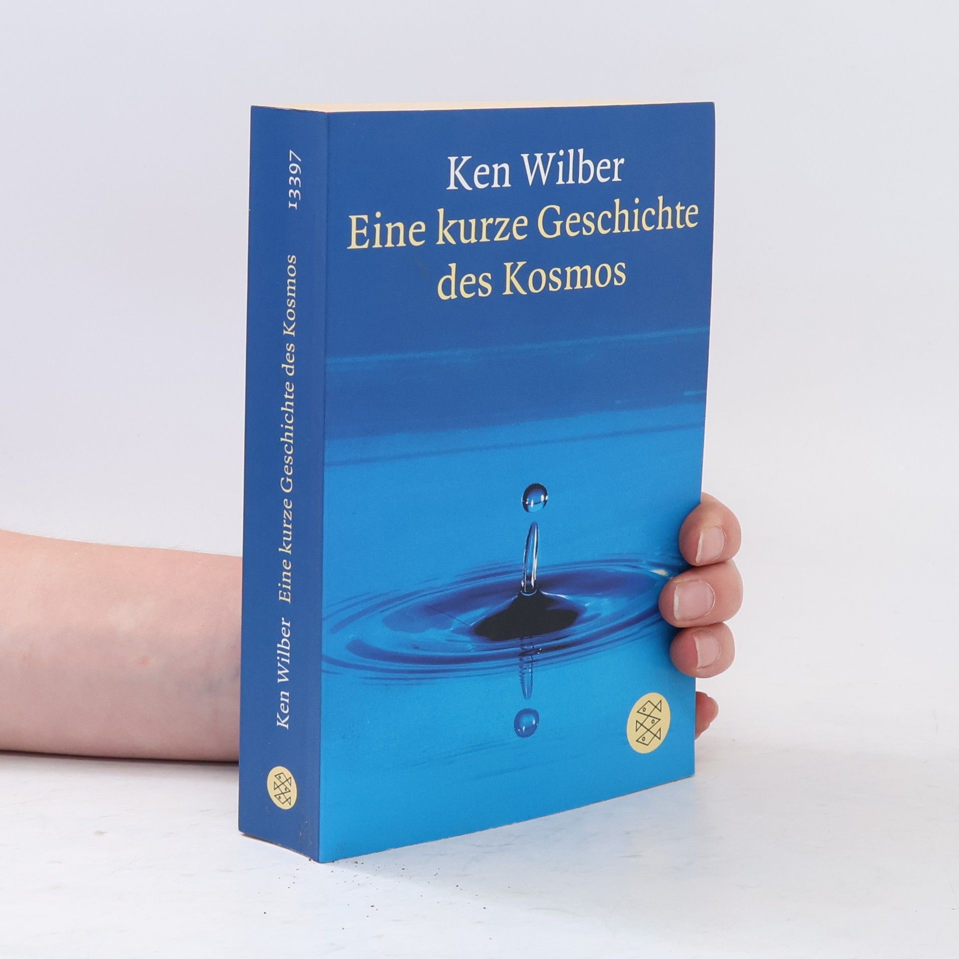 Ken Wilber Eine kurze Geschichte des Kosmos