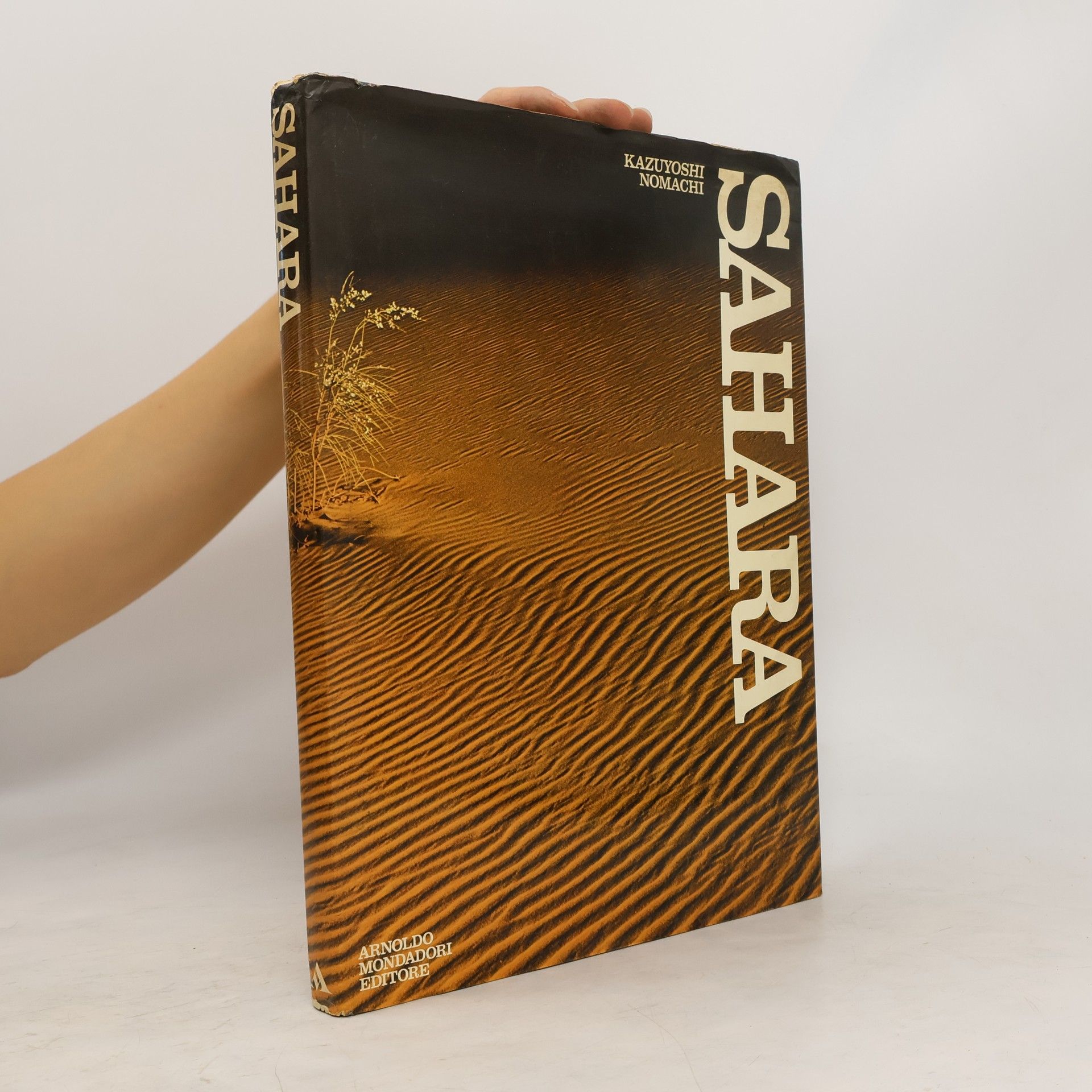 Collectif d'auteurs Sahara
