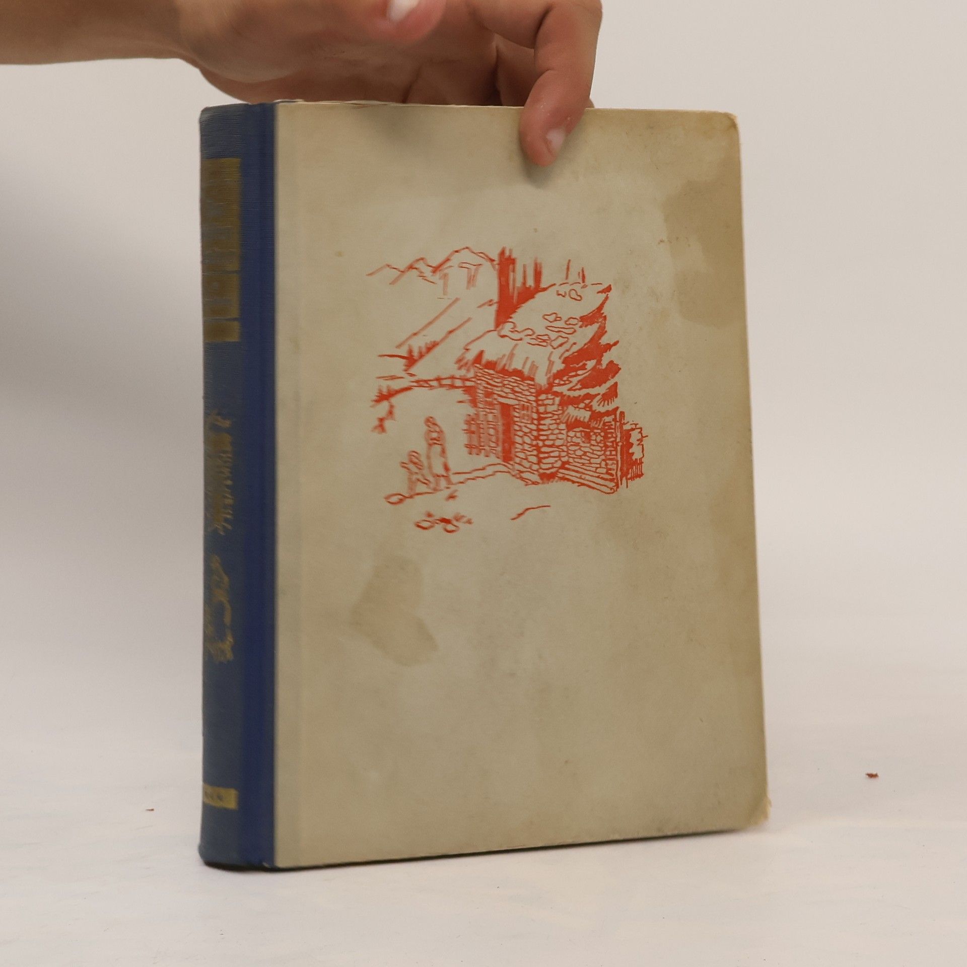 Die Höhlenkinder im Steinhaus