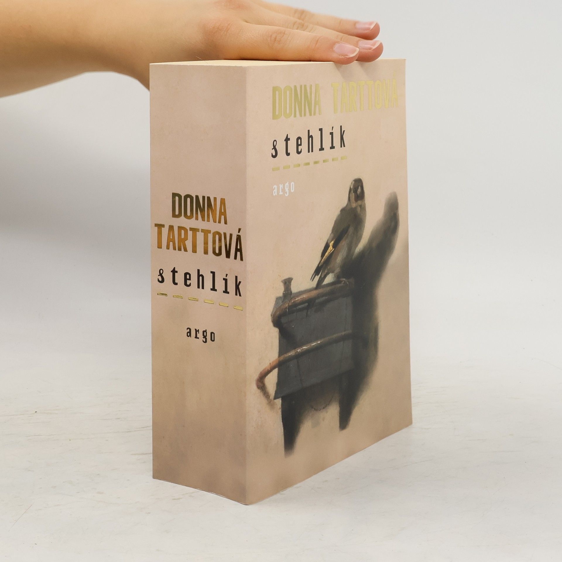 Donna Tartt Stehlík