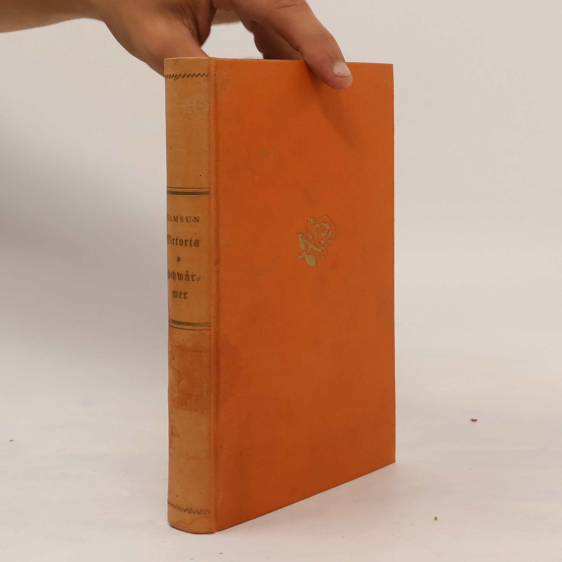 Knut Hamsun Victoria und Schwärmer