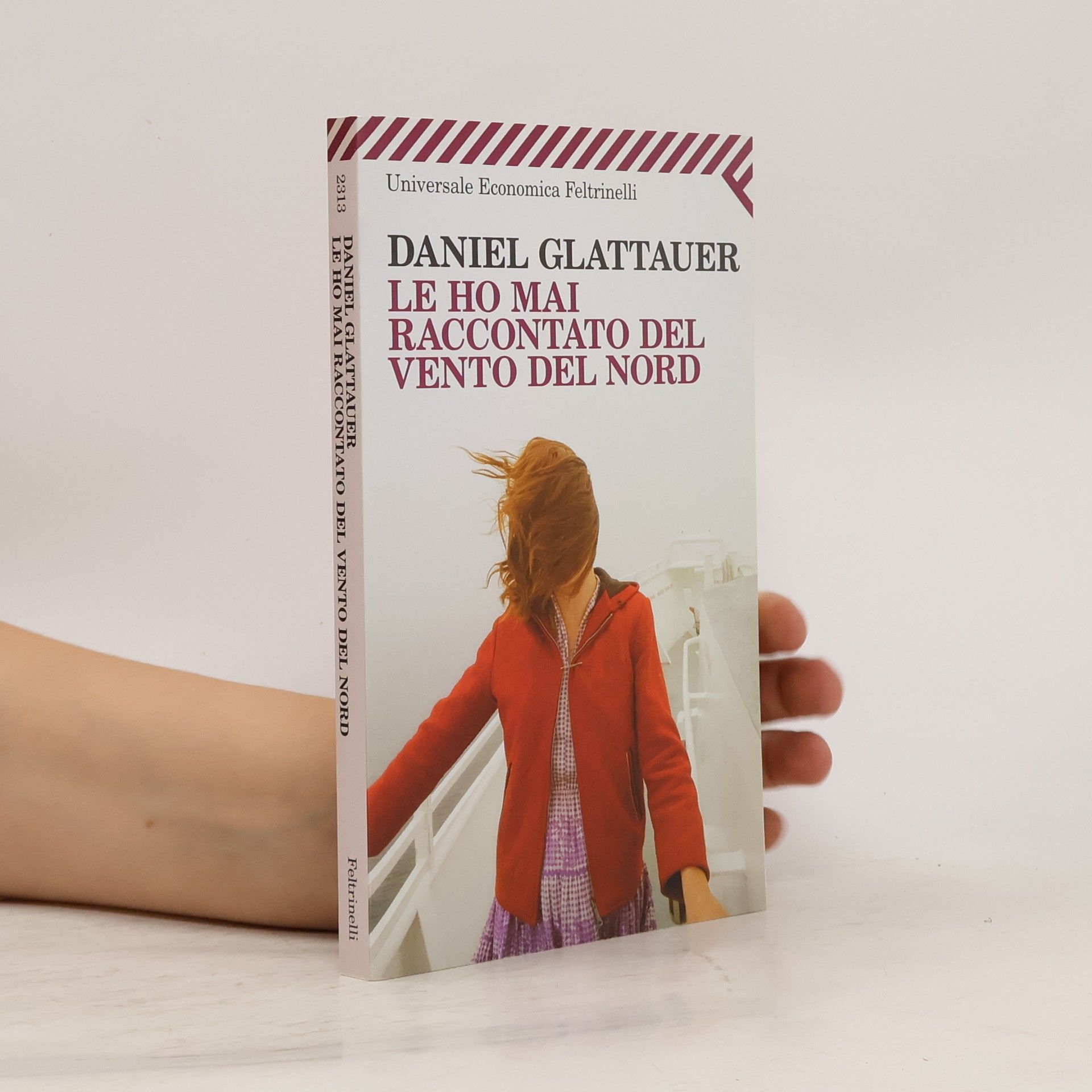 Daniel Glattauer Le ho mai raccontato del vento del Nord