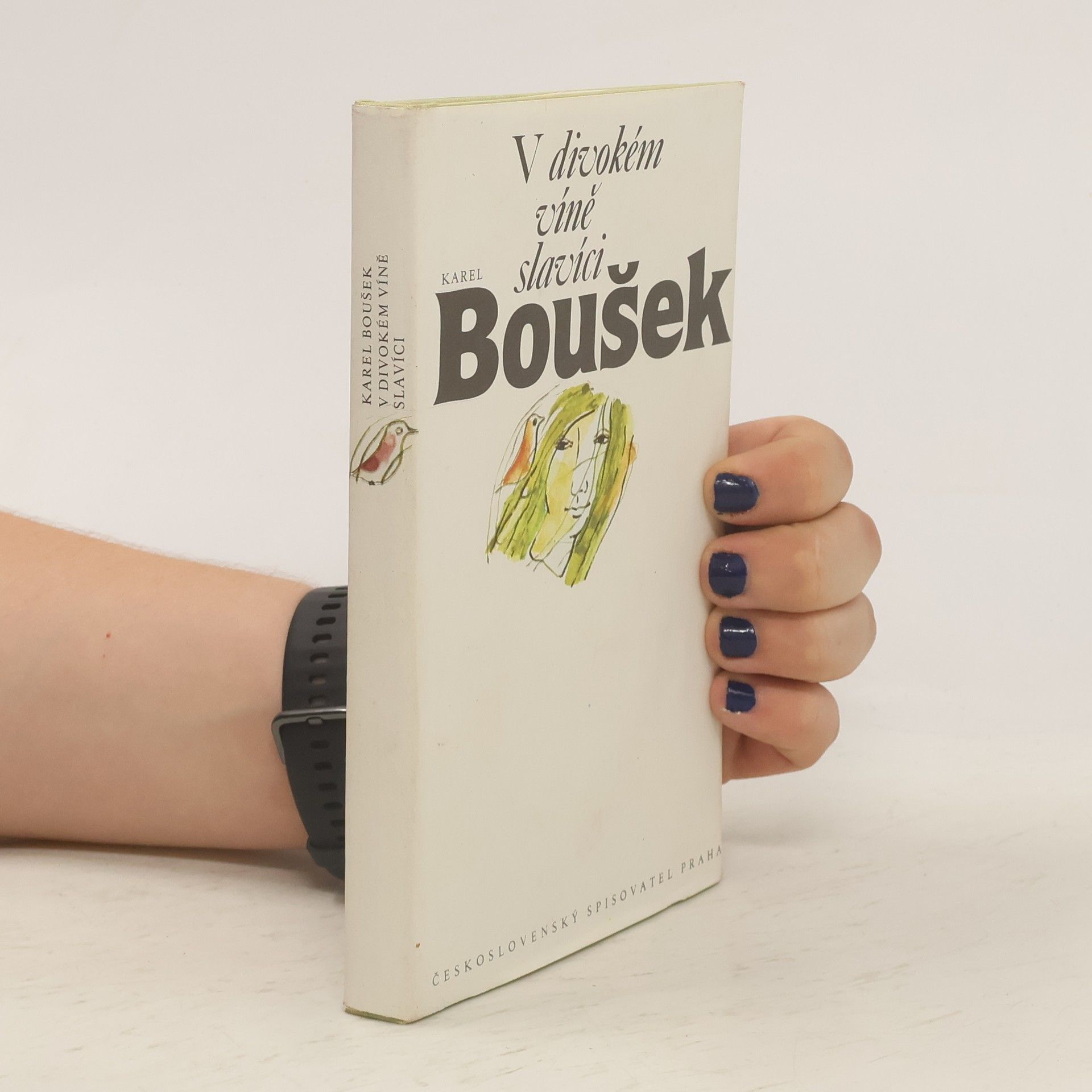 Karel Boušek V divokém víně slavíci