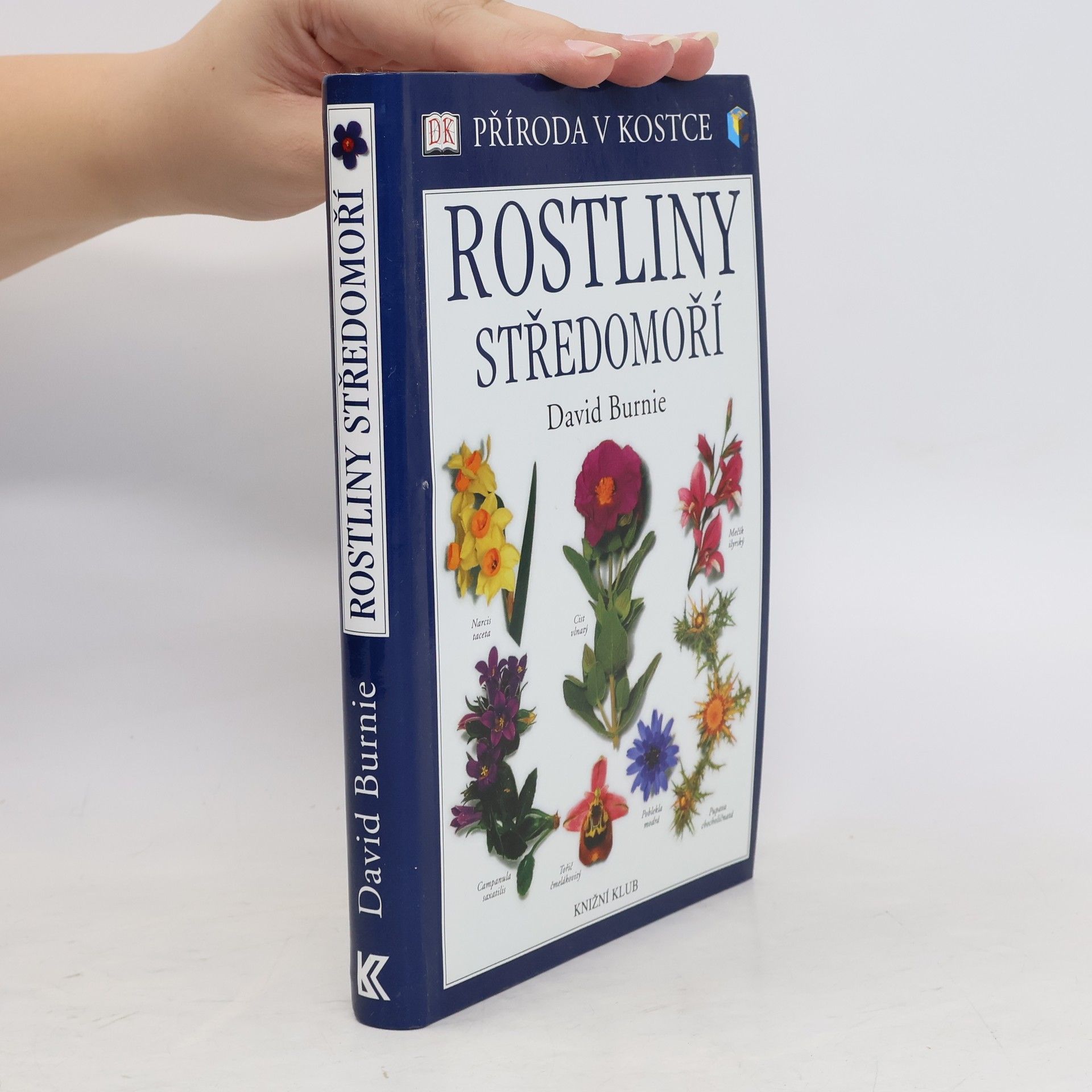 David Burnie Rostliny Středomoří