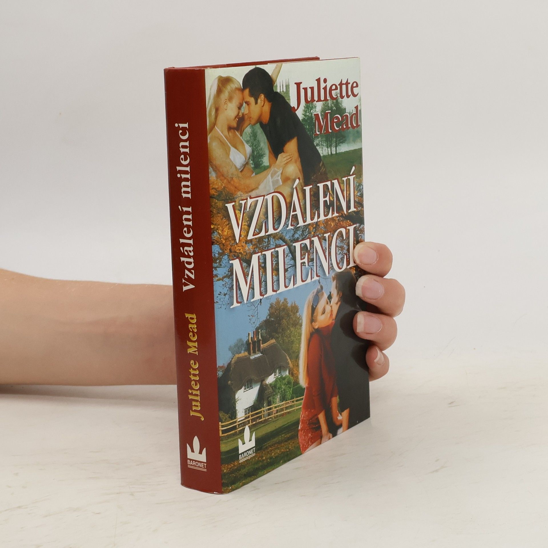 Juliette Mead Vzdálení milenci