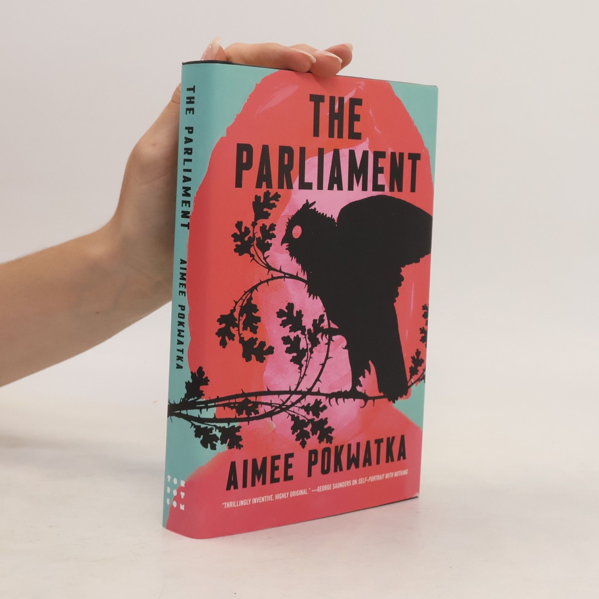 Aimee Pokwatka The Parliament