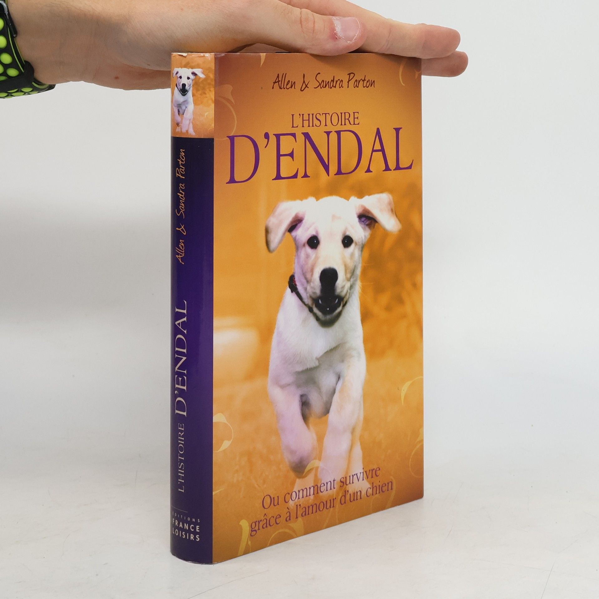 L'Histoire D'endal