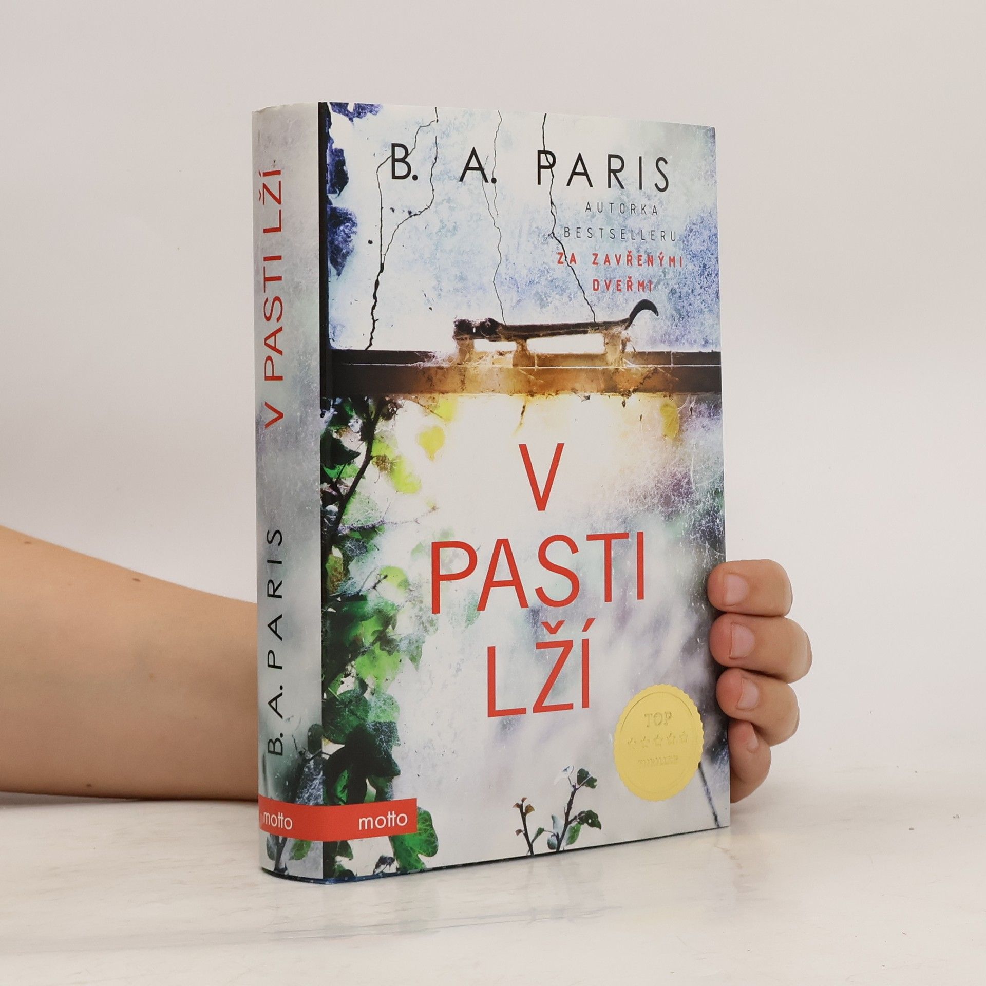 B. A. Paris V pasti lží