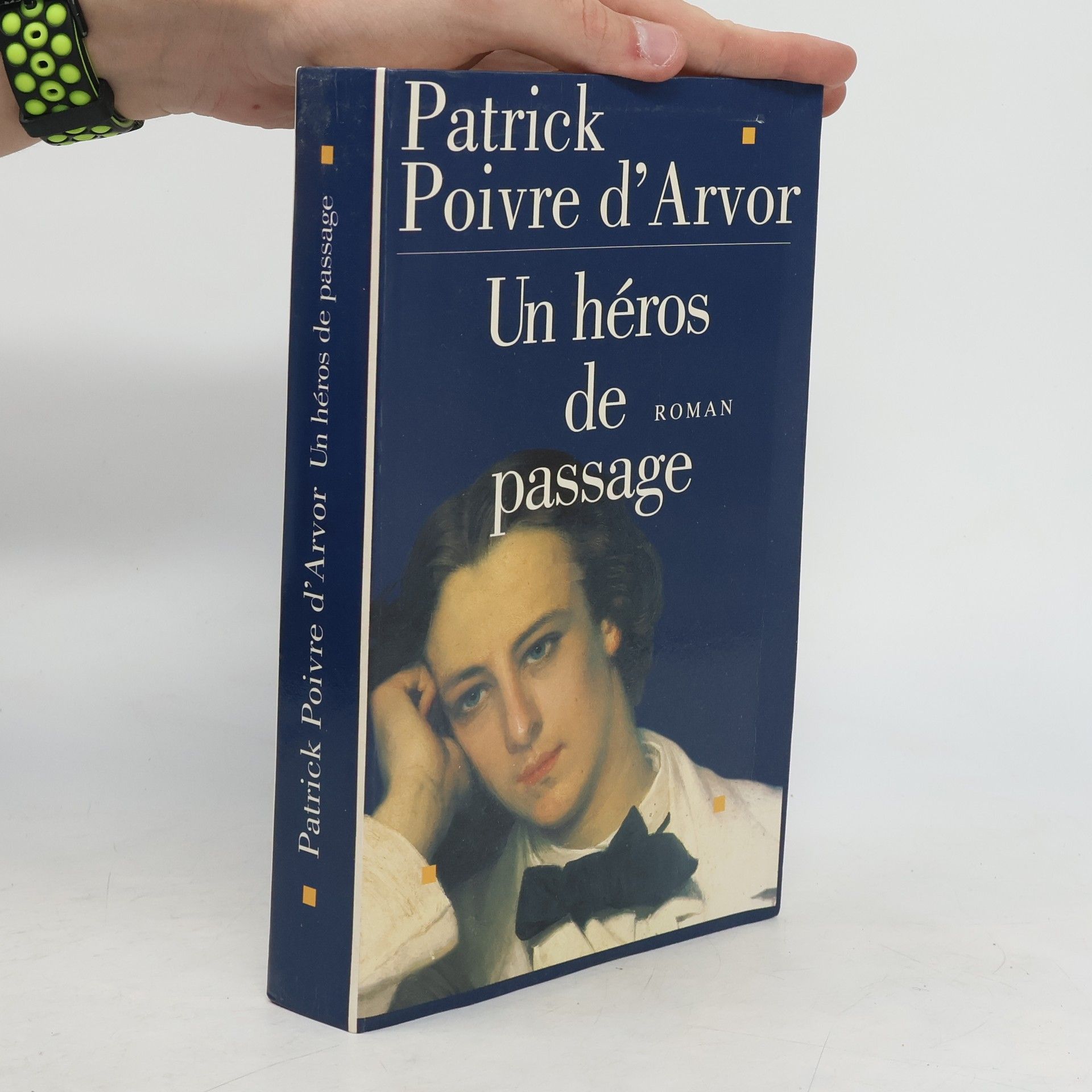 Patrick Poivre d'Arvor Un héros de passage