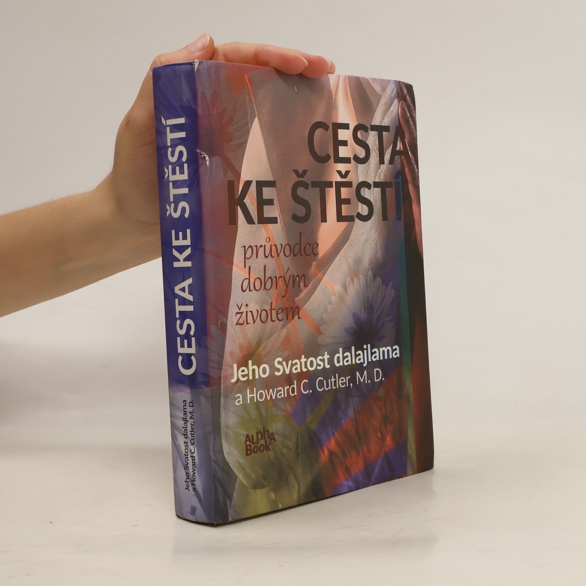 Bstan\'dzinrgyamtsho Cesta ke štěstí