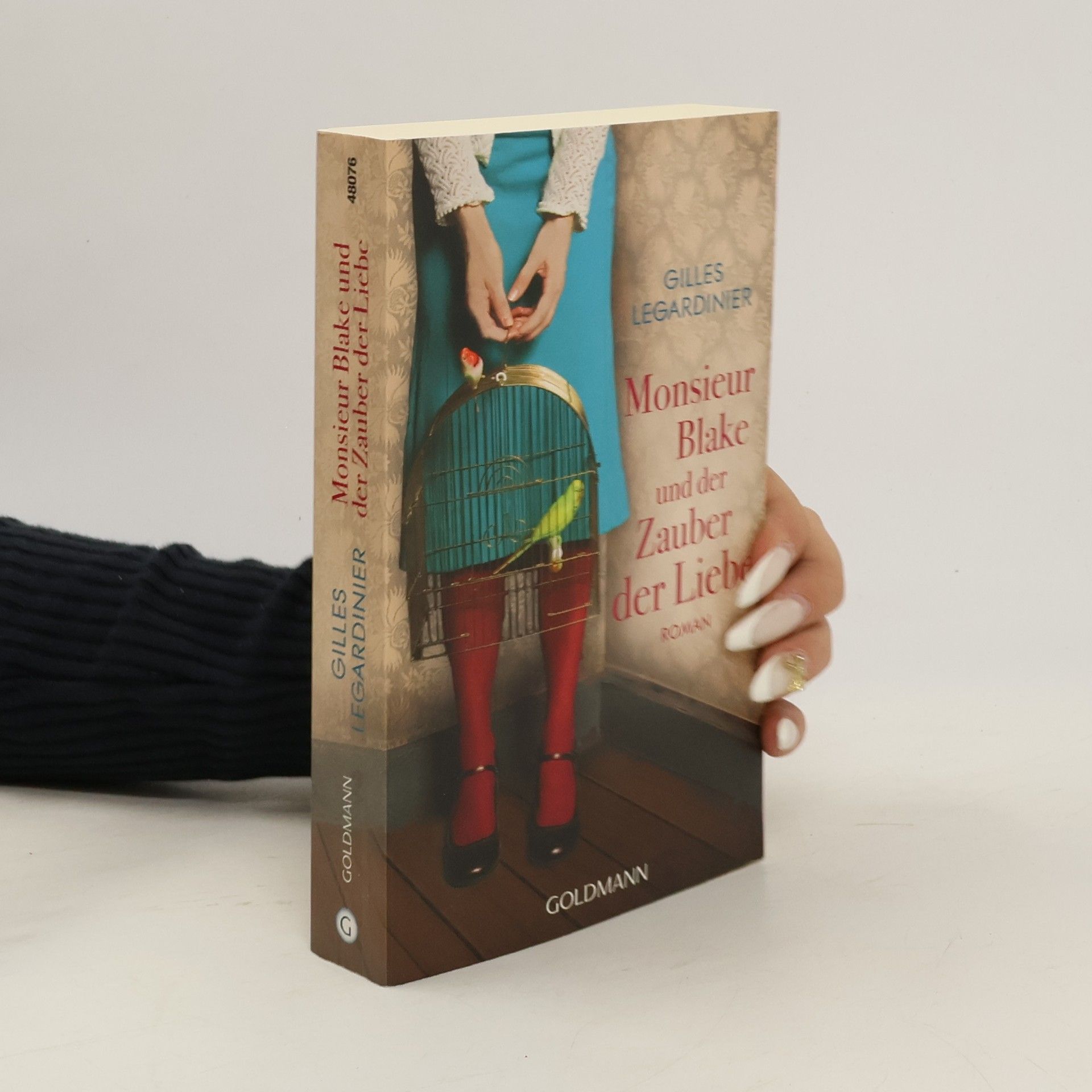 Gilles Legardinier Monsieur Blake und der Zauber der Liebe