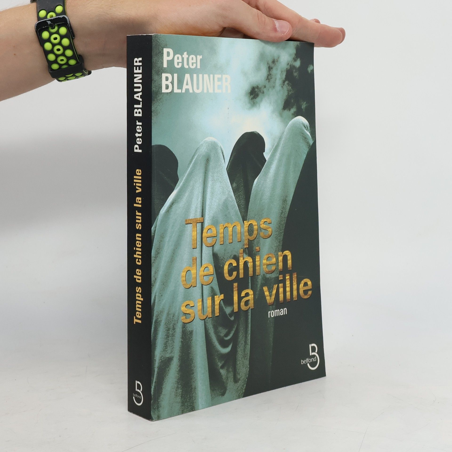 Peter Blauner Temps de chien sur la ville