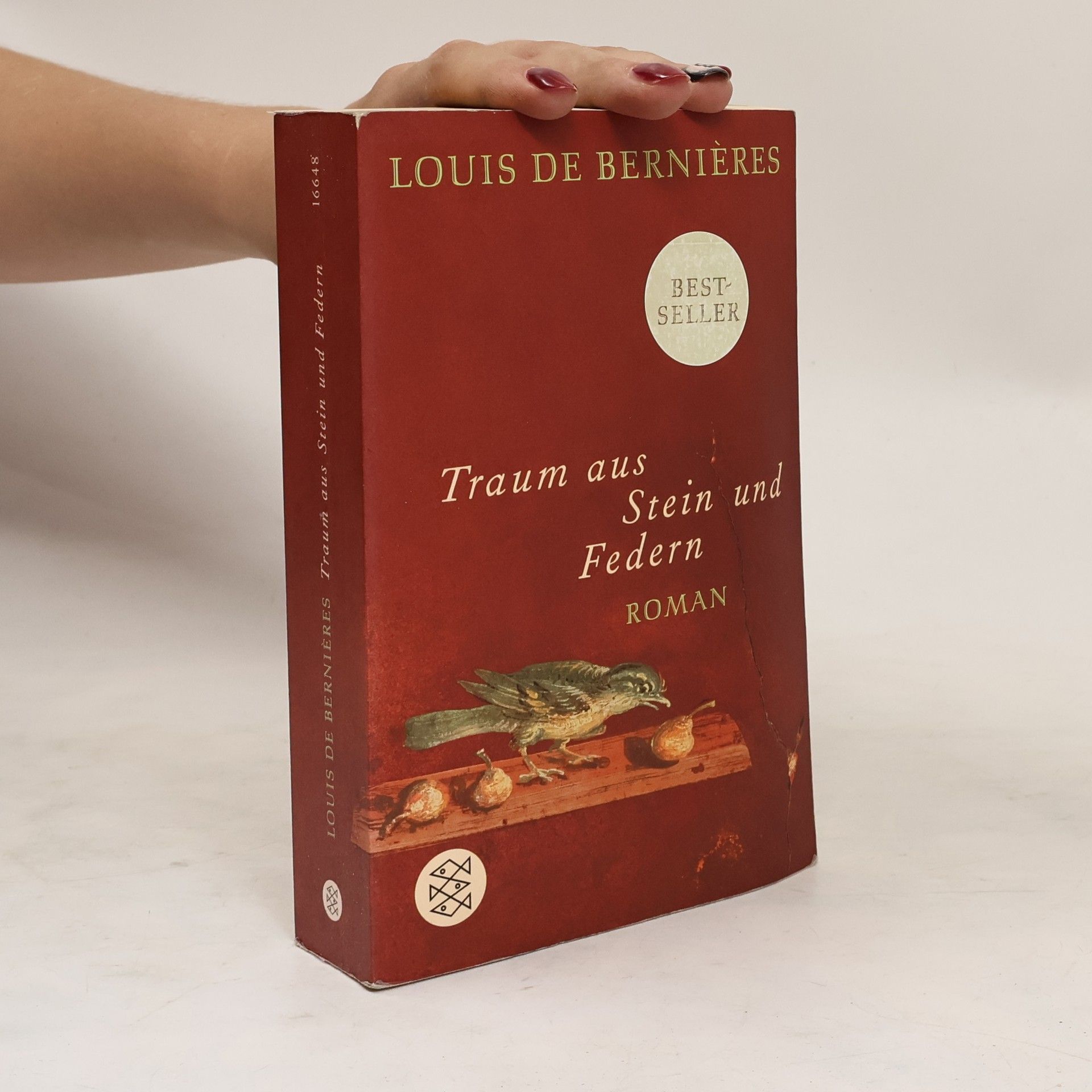 Louis de Bernières Traum aus Stein und Federn