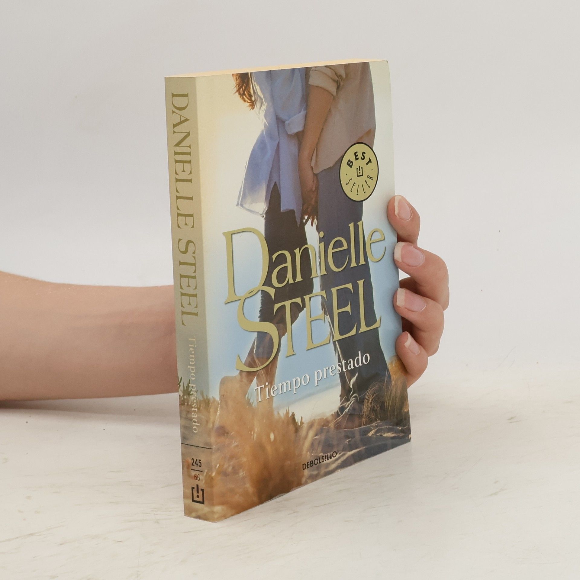 Danielle Steel Tiempo prestado