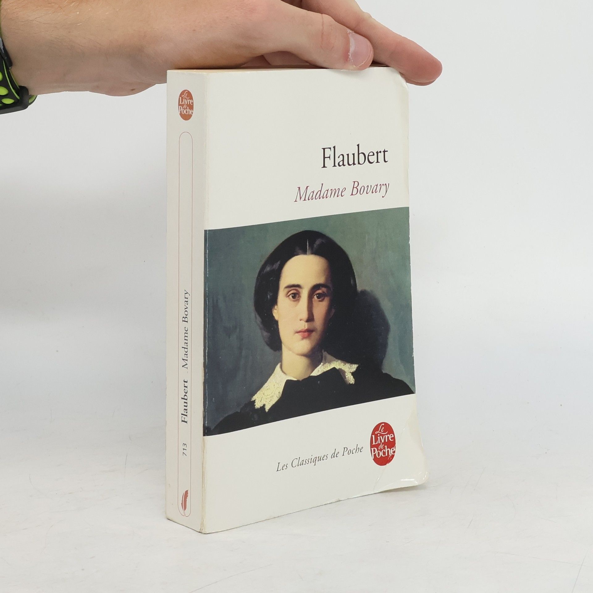 Gustave Flaubert Madame Bovary