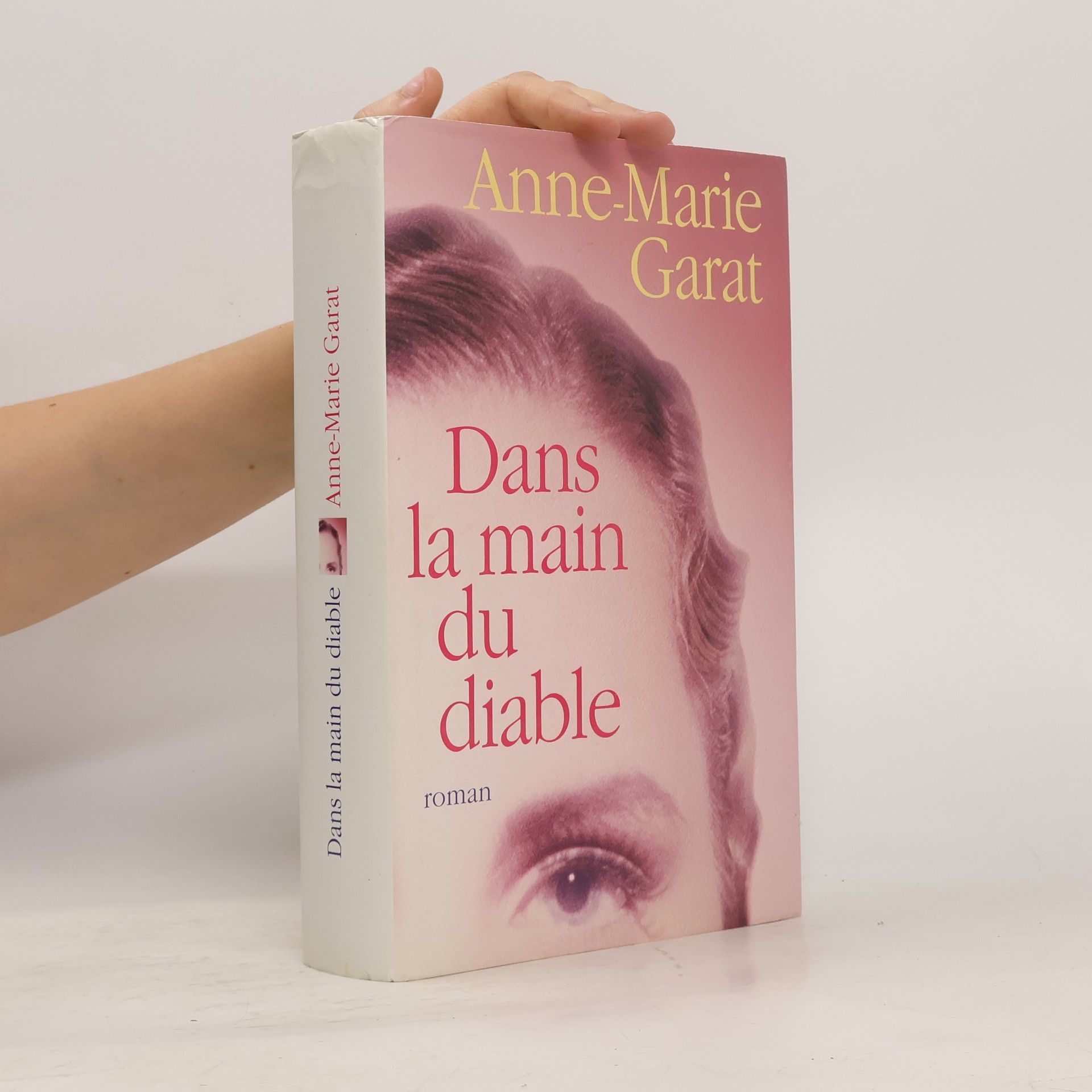 Anne Marie Garat Dans la main du diable