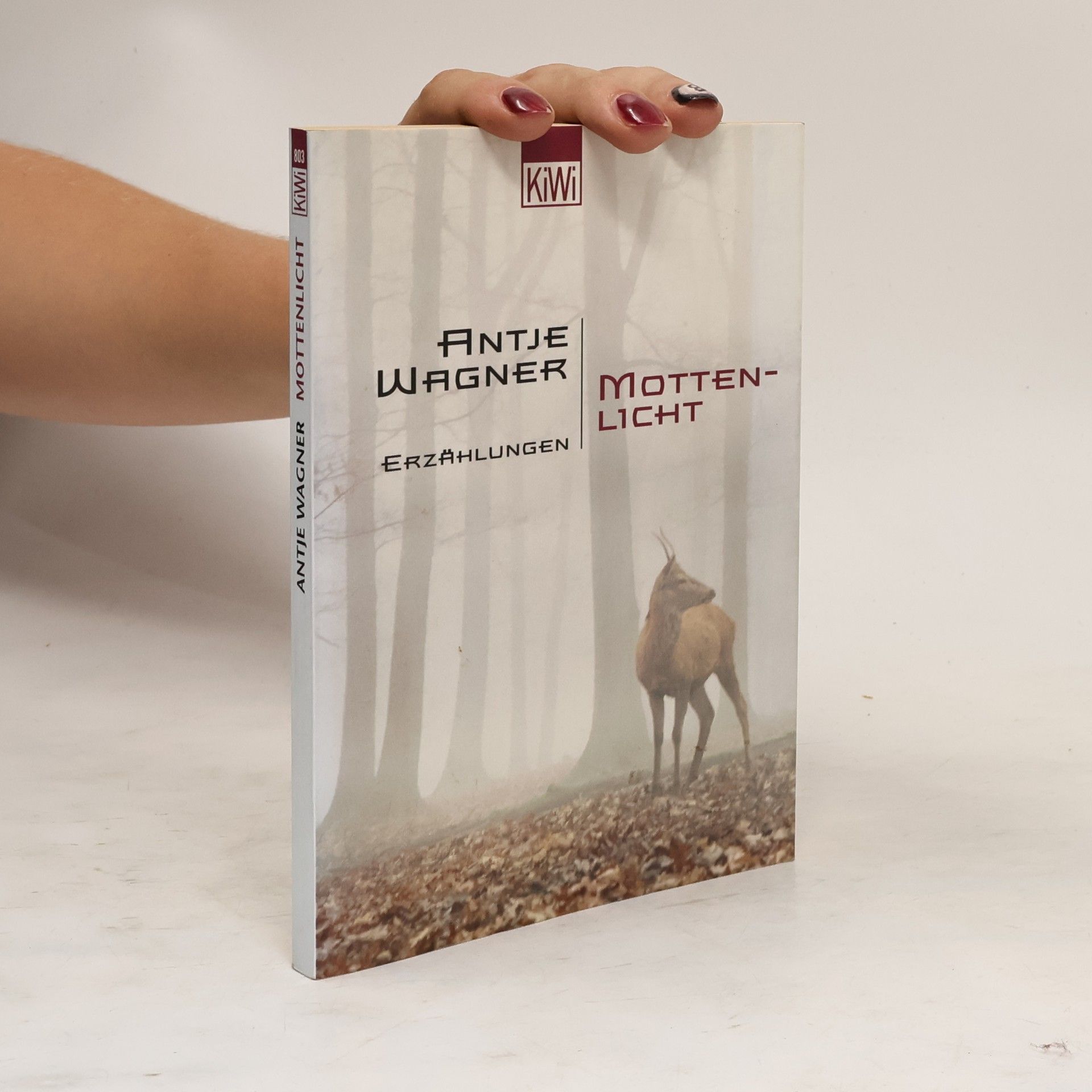Antje Wagner Mottenlicht. Erzählungen