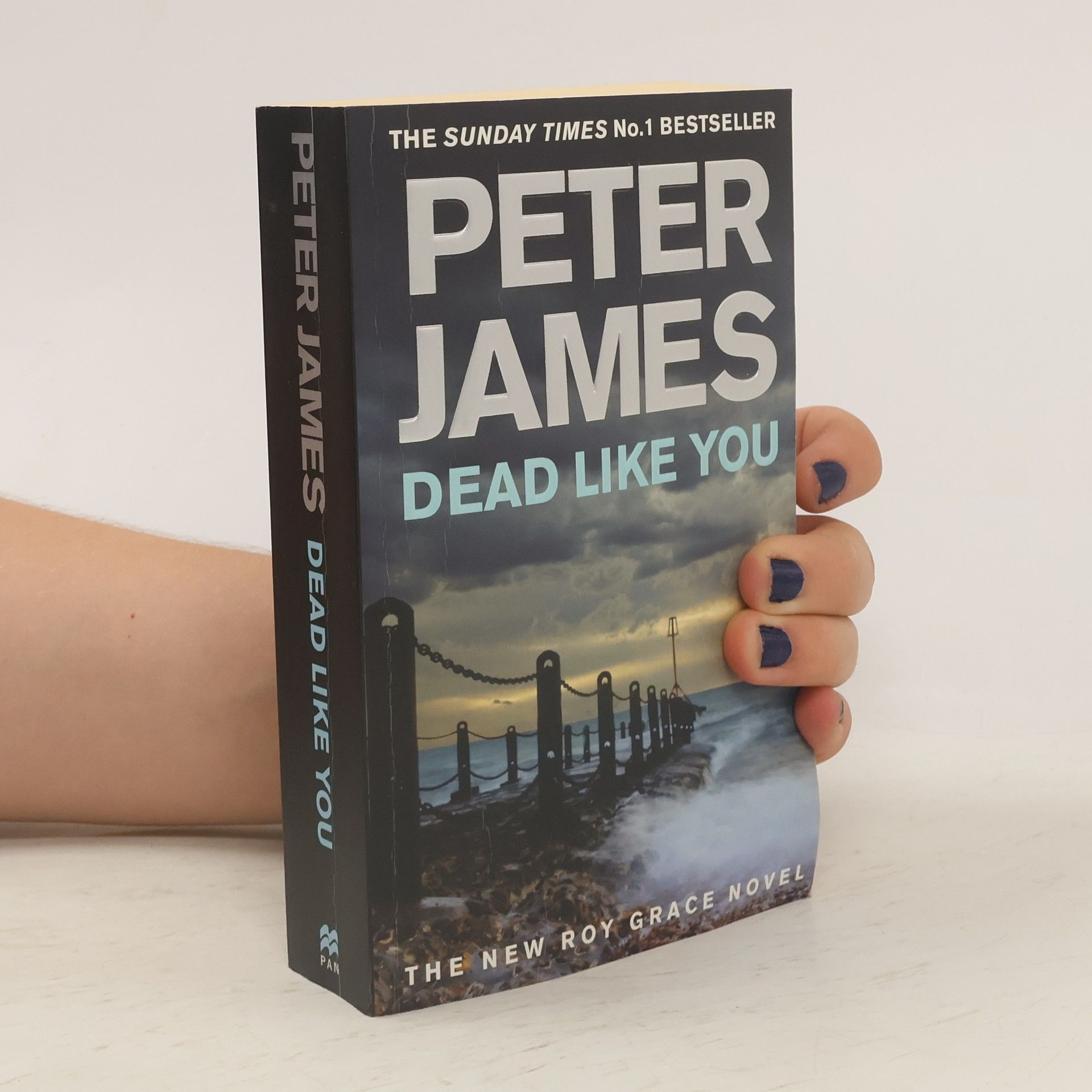 Peter James Dead Like You