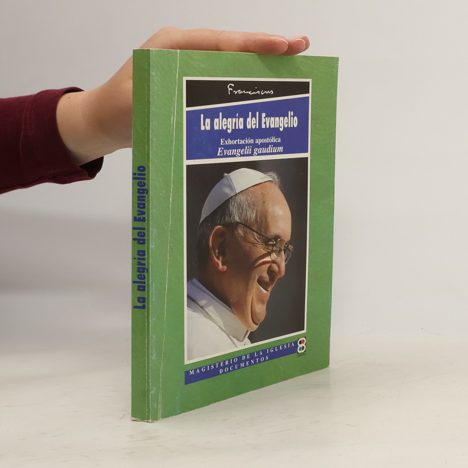 Papež František La alegría del evangelio