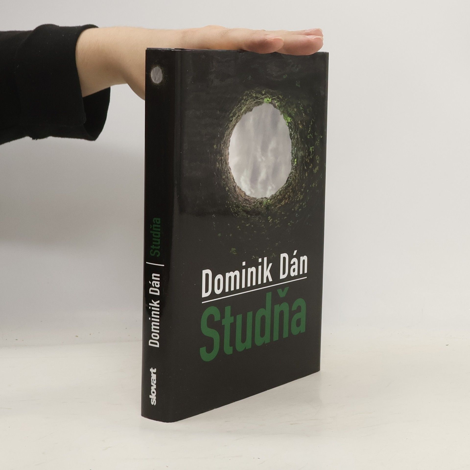 Dominik Dán Studňa