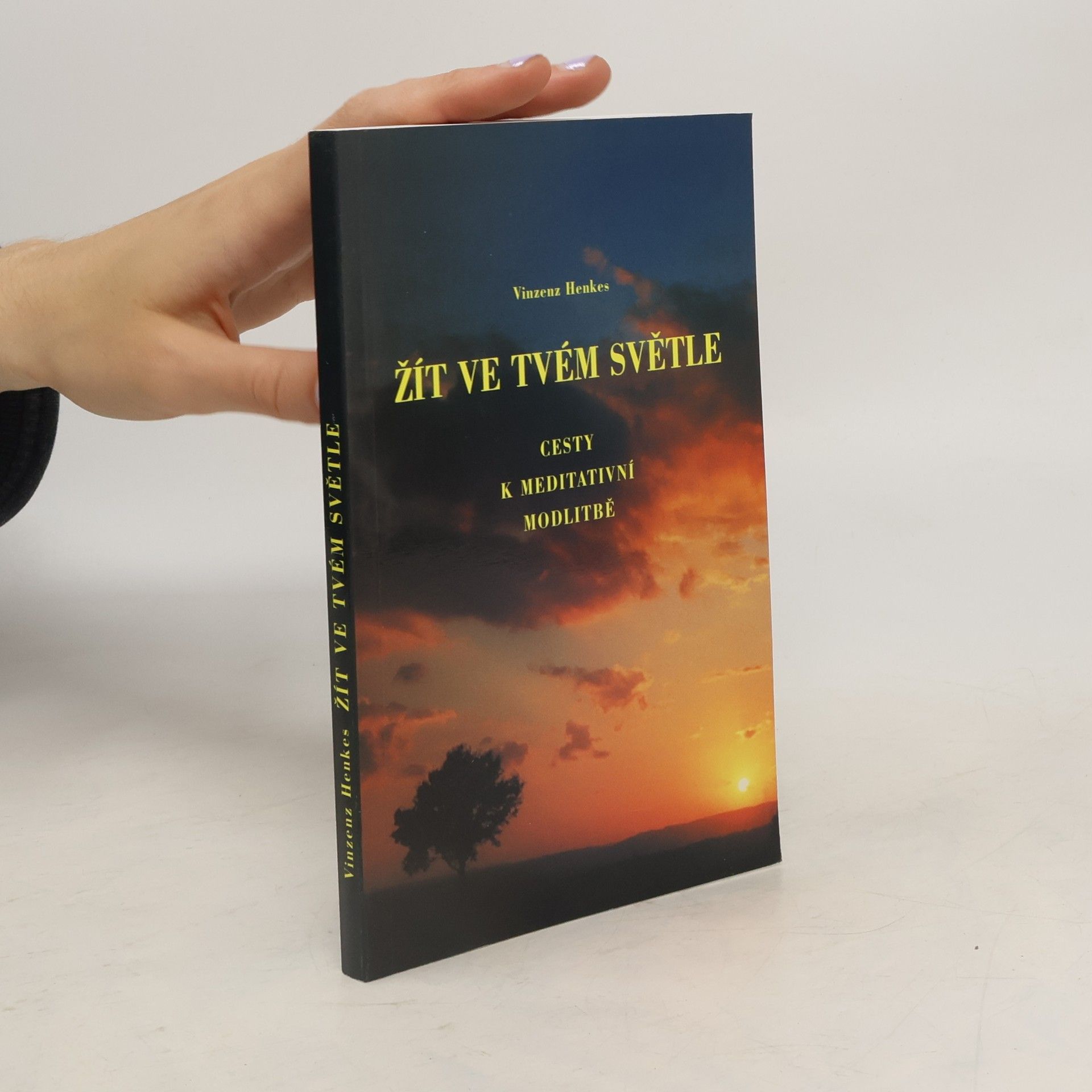 Žít ve tvém světle: cesty k meditativní modlitbě