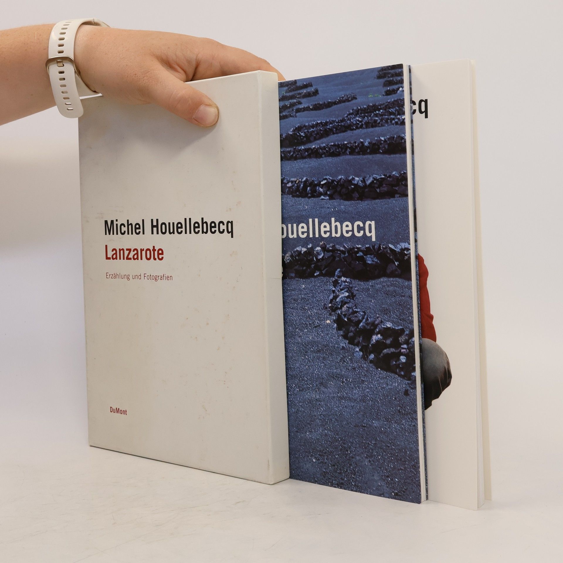 Michel Houellebecq Lanzarote