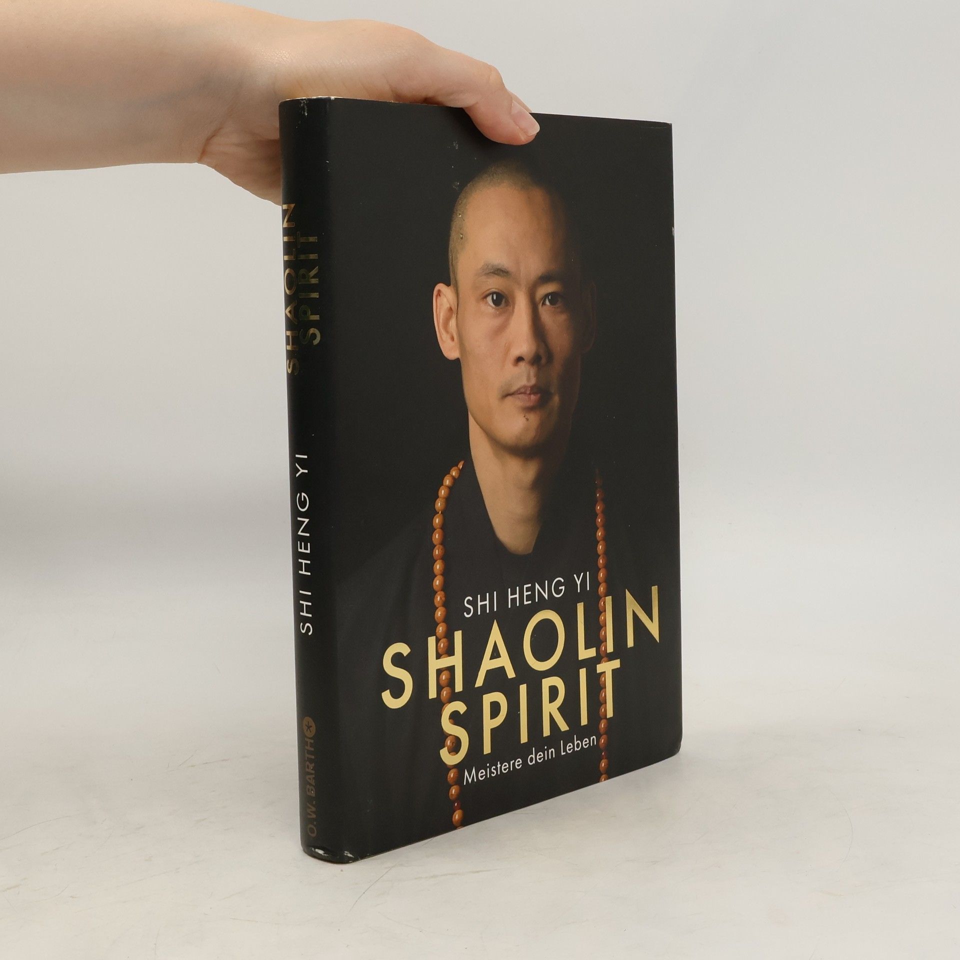 Shi Heng Shi Heng Yi Shaolin Spirit