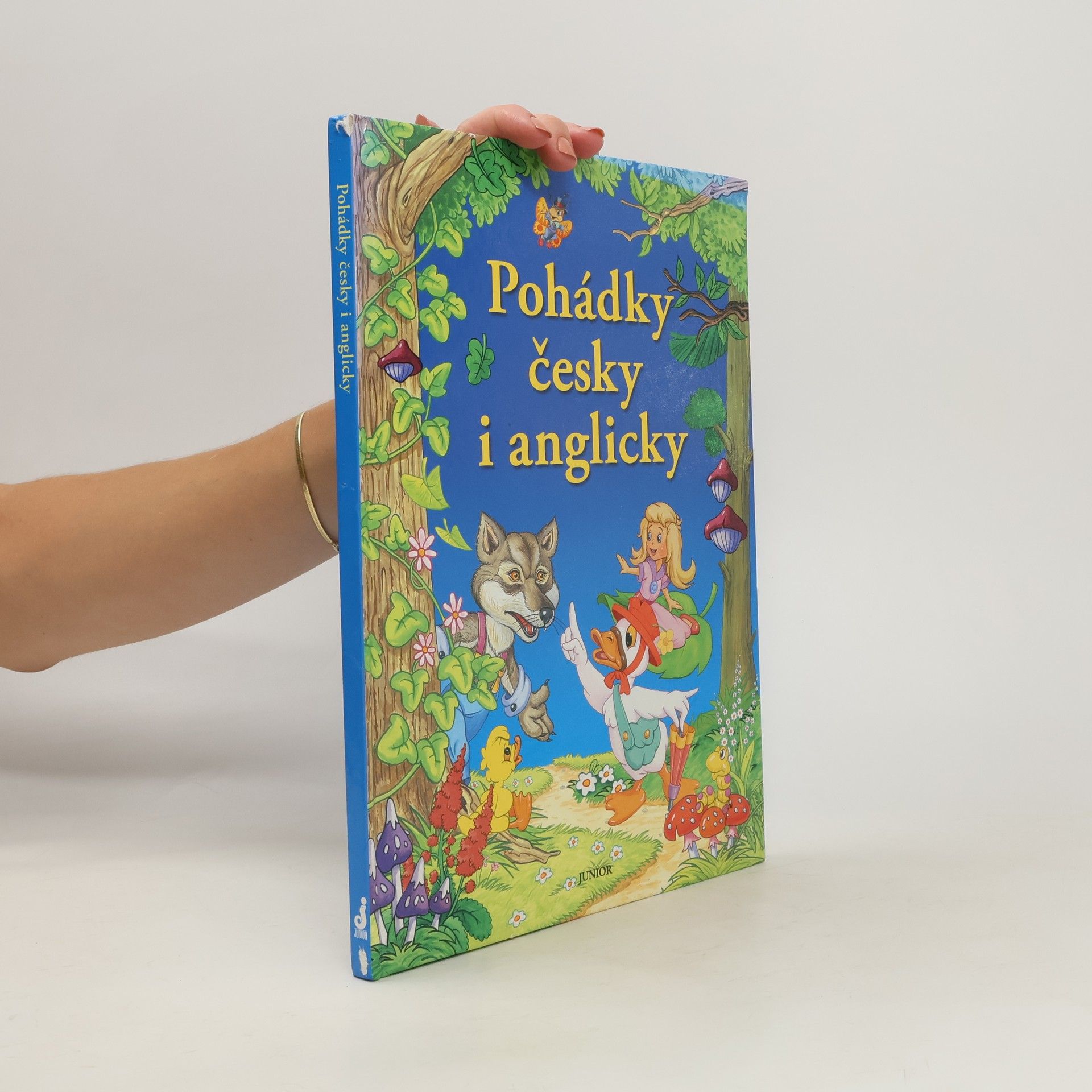 Dorota Fic Pohádky česky i anglicky