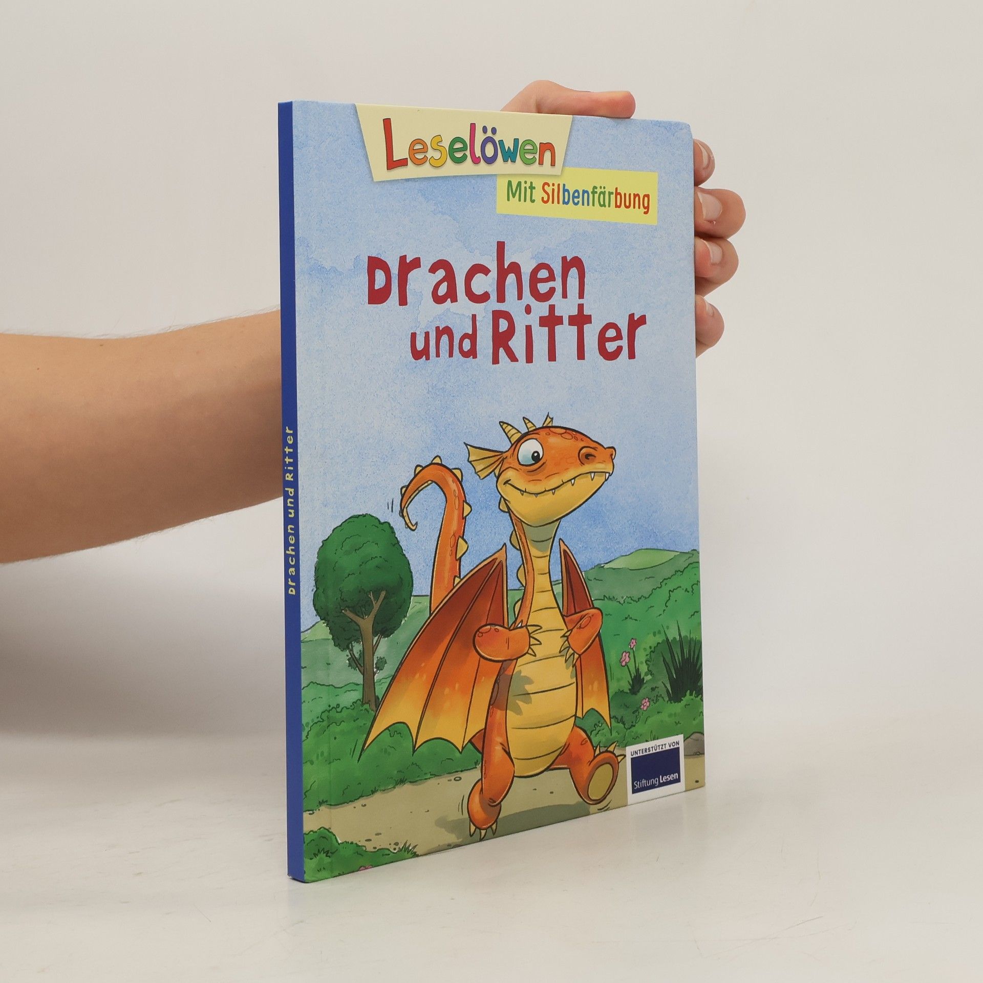 Kolektiv autorů Drachen und Ritter