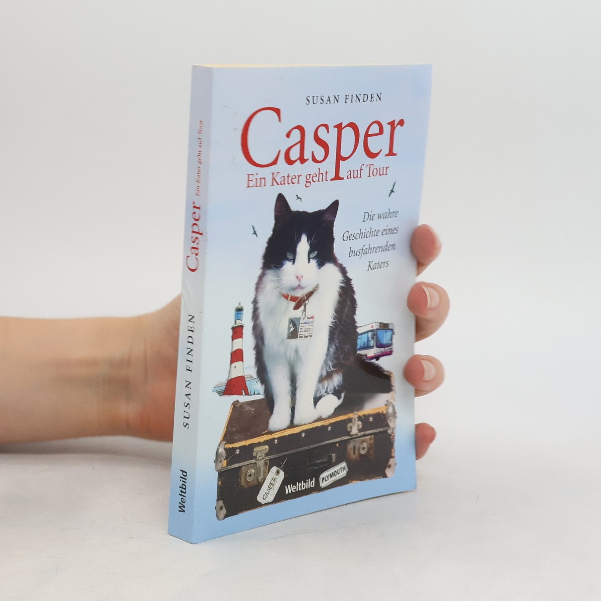 Susan Finden Casper. Ein Kater geht auf Tour