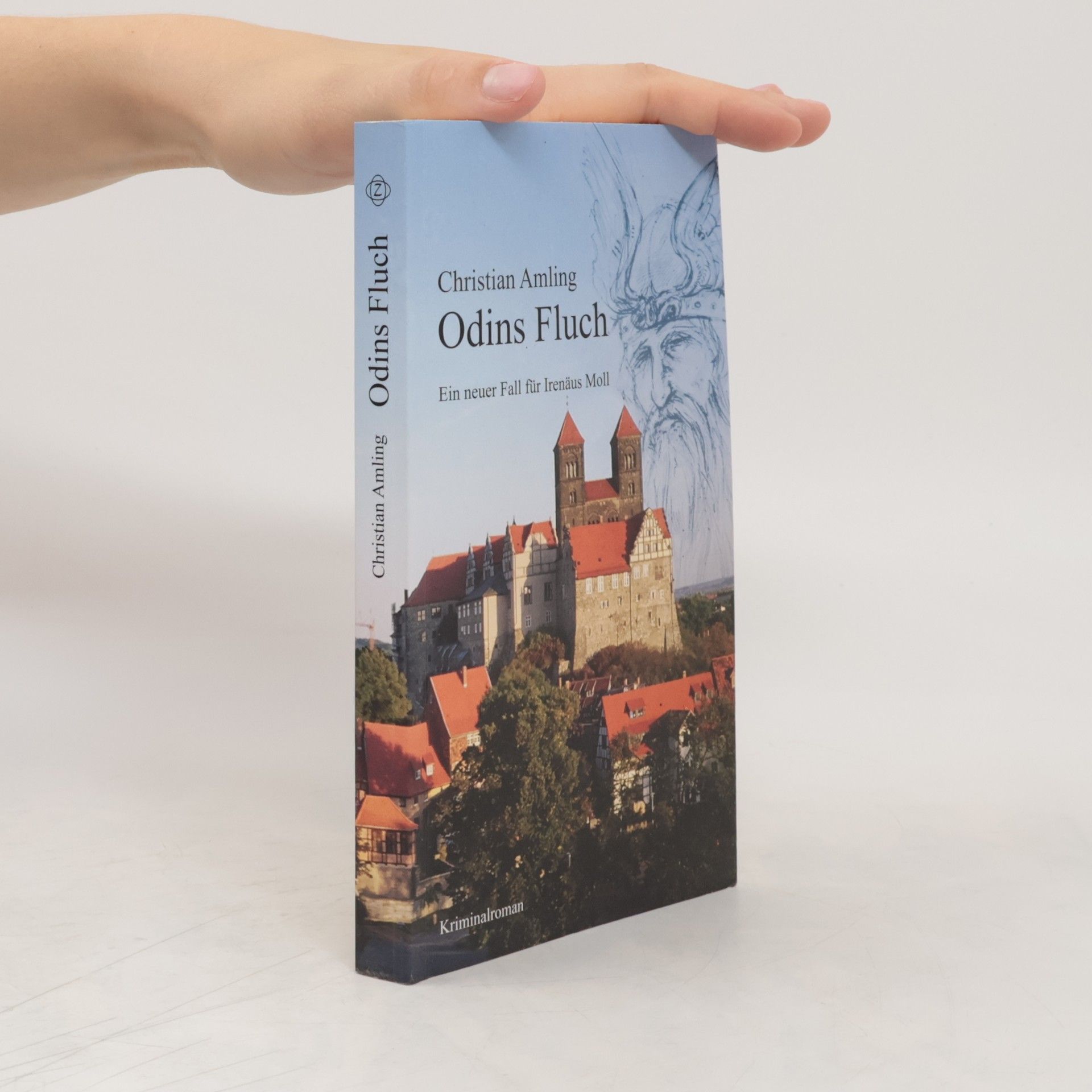 Christian Amling Odins Fluch
