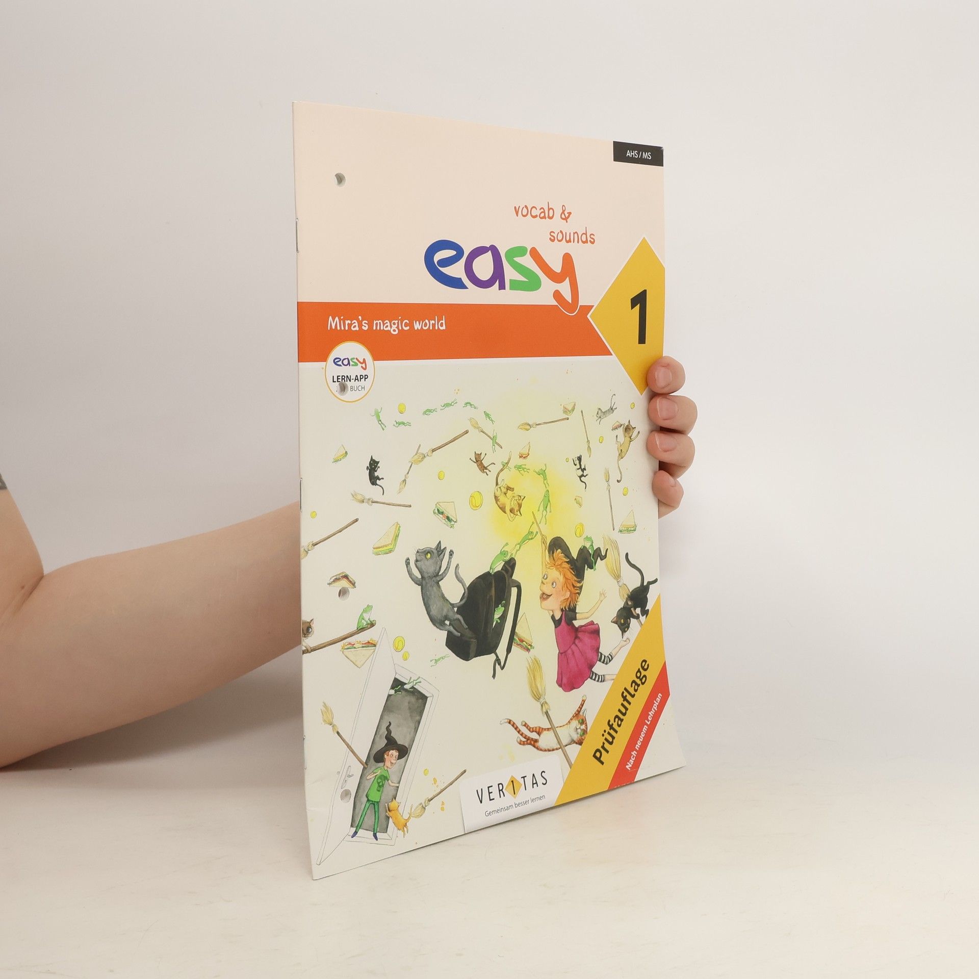 Collectif d'auteurs Easy vocab & sounds 1