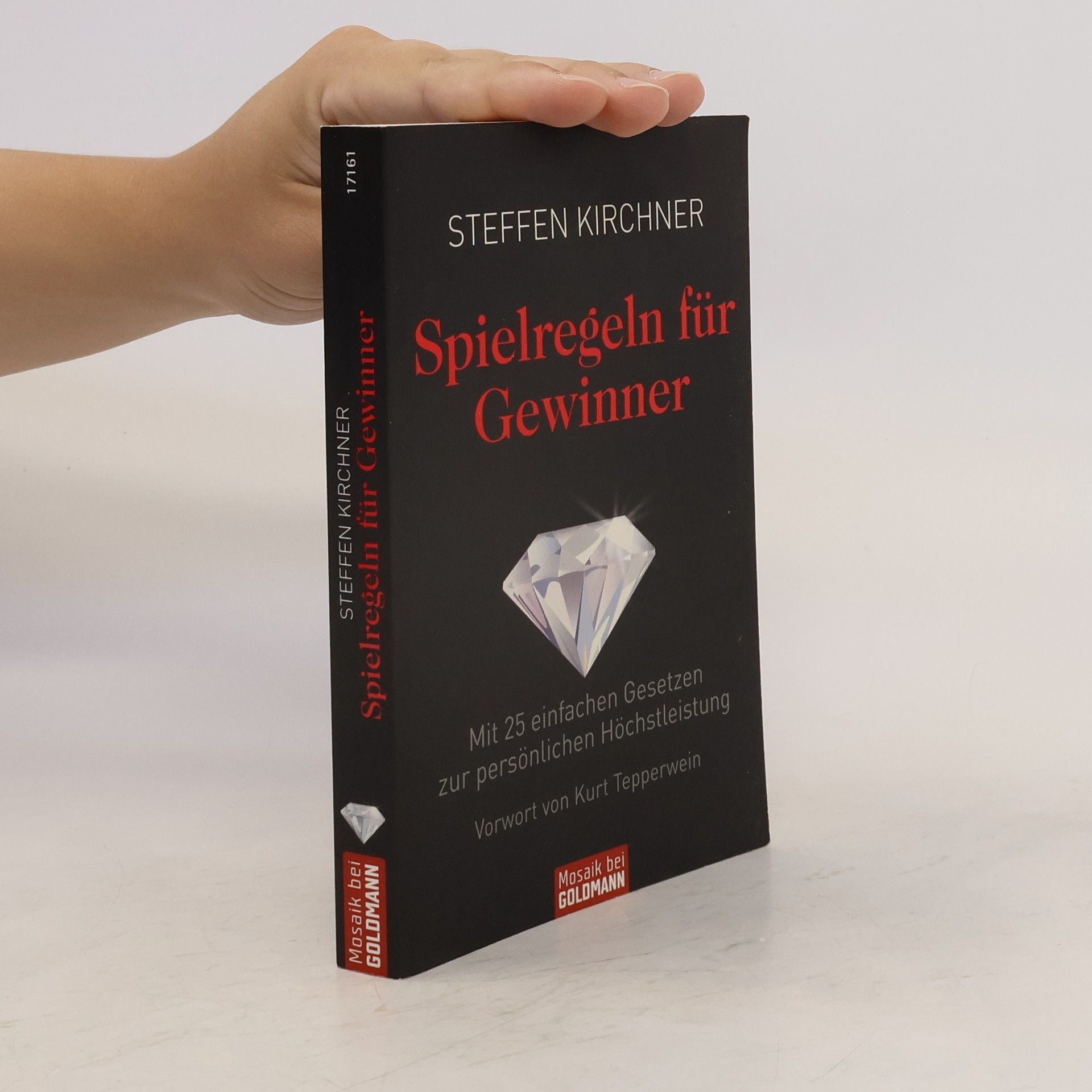 Steffen Kirchner Spielregeln für Gewinner