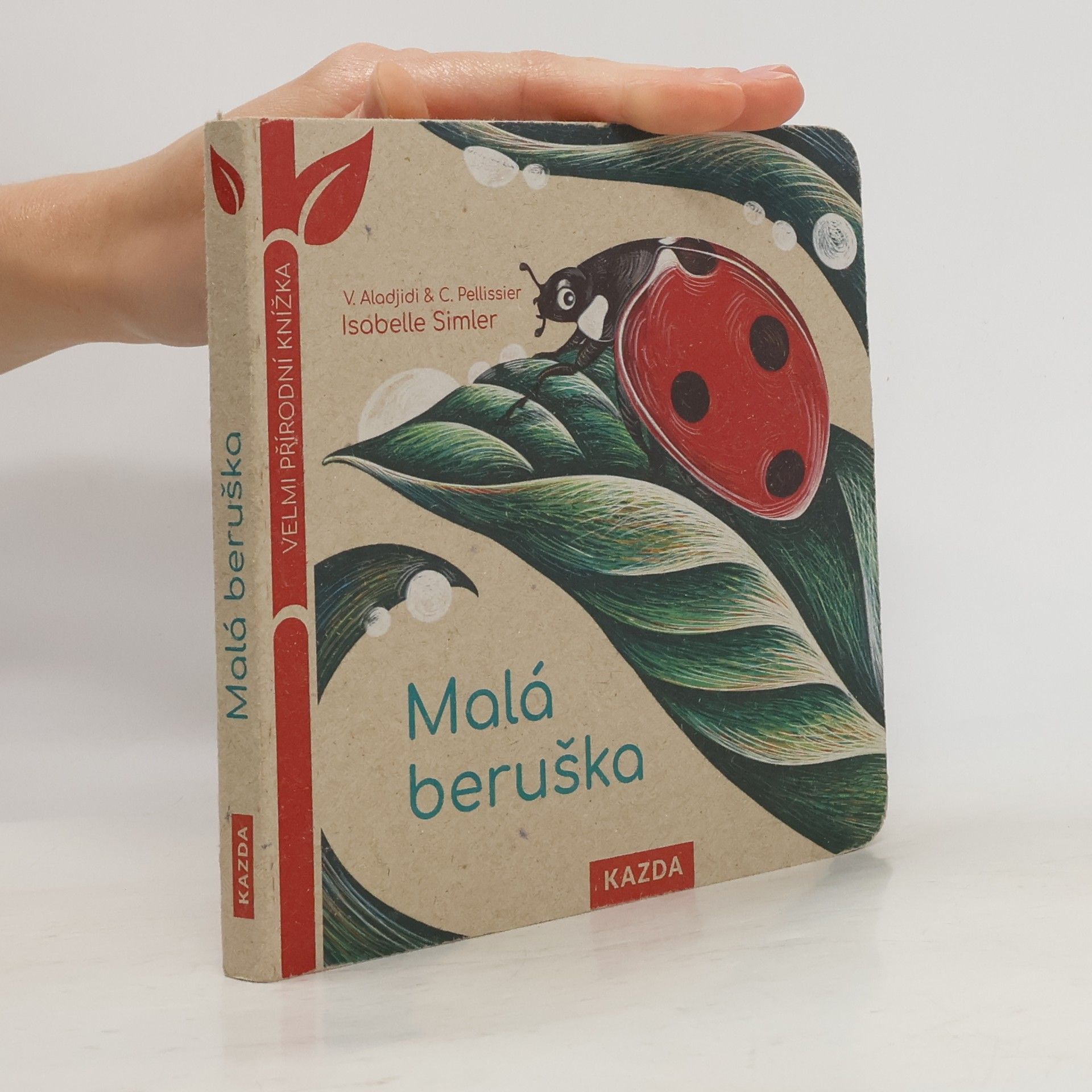 Blanka Carrière Malá beruška