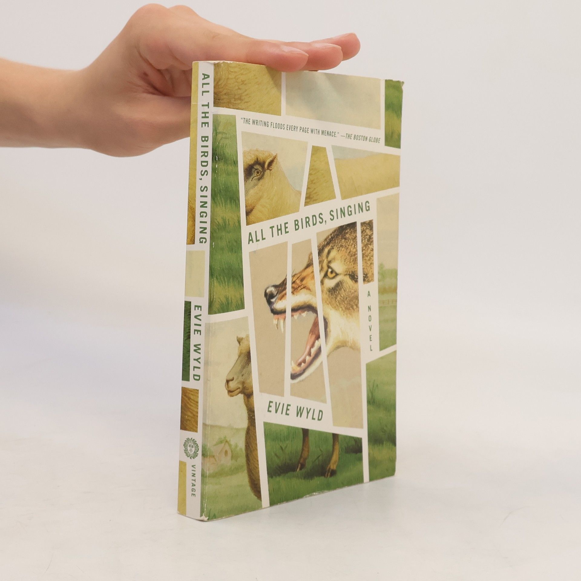 Evie Wyld All the Birds, Singing. A Novel. Winner of the Miles Franklin Literary Award 2014