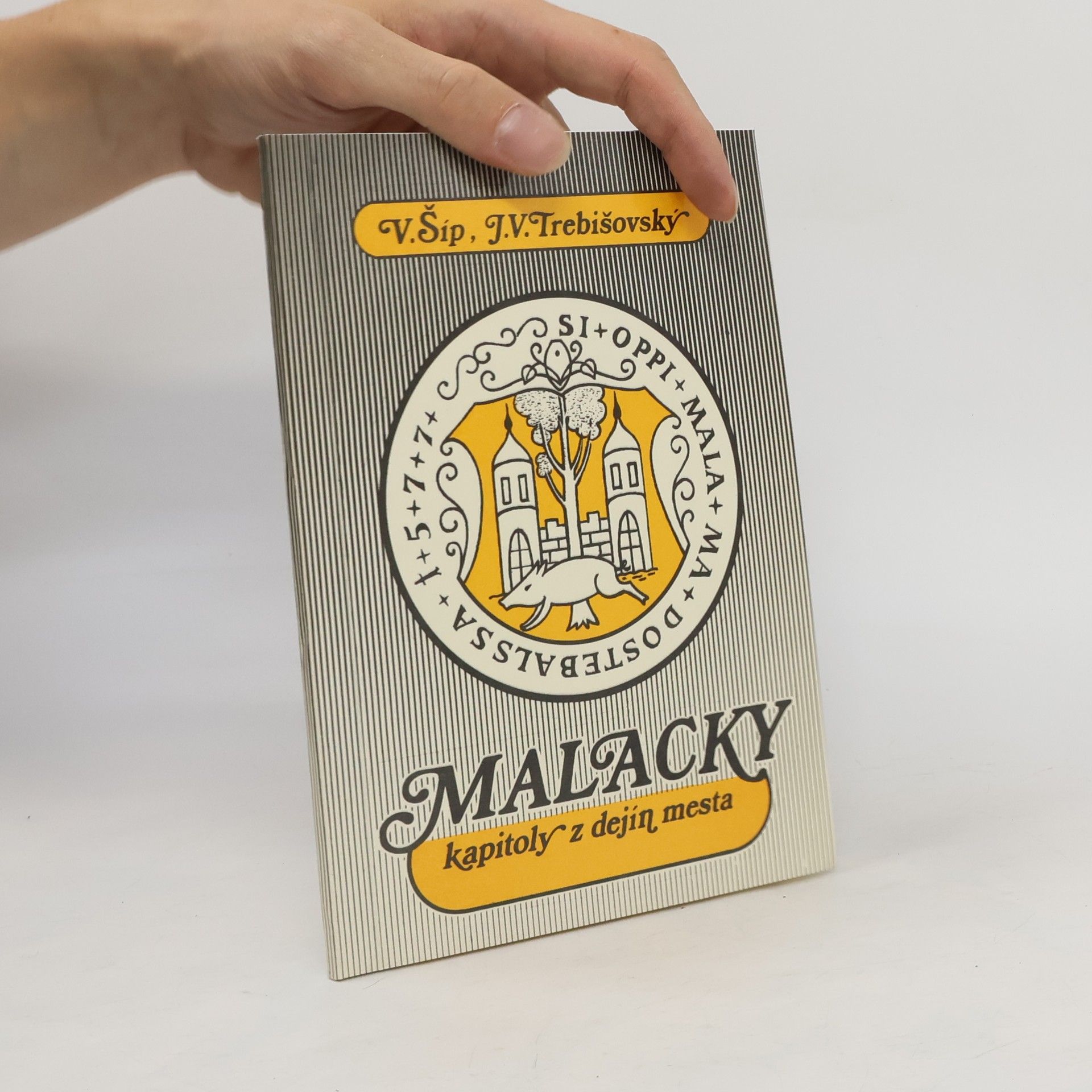 V. Šíp Malacky. Kapitoly z dejín mesta
