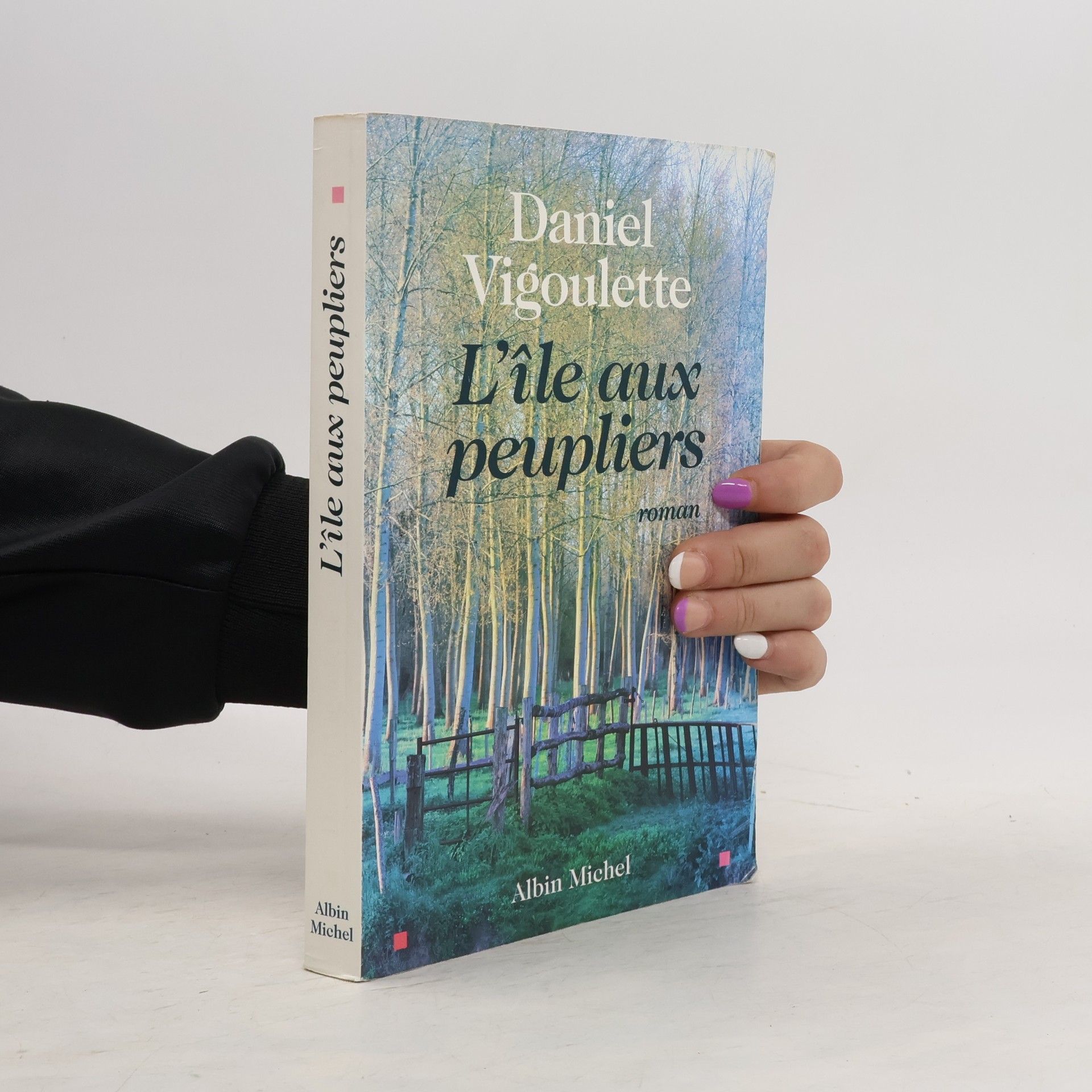 Daniel Vigoulette L'île aux peupliers