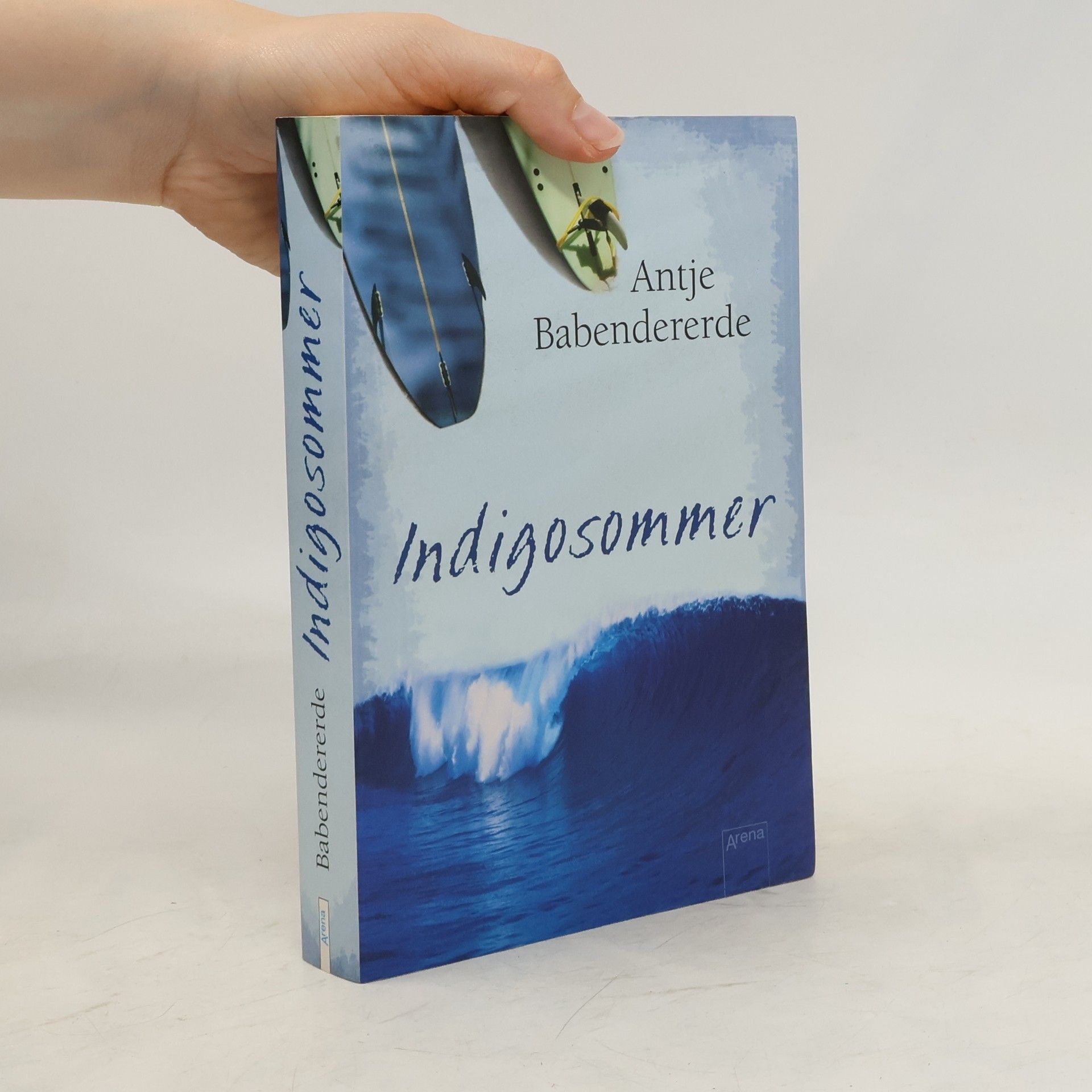 Antje Babendererde Indigosommer