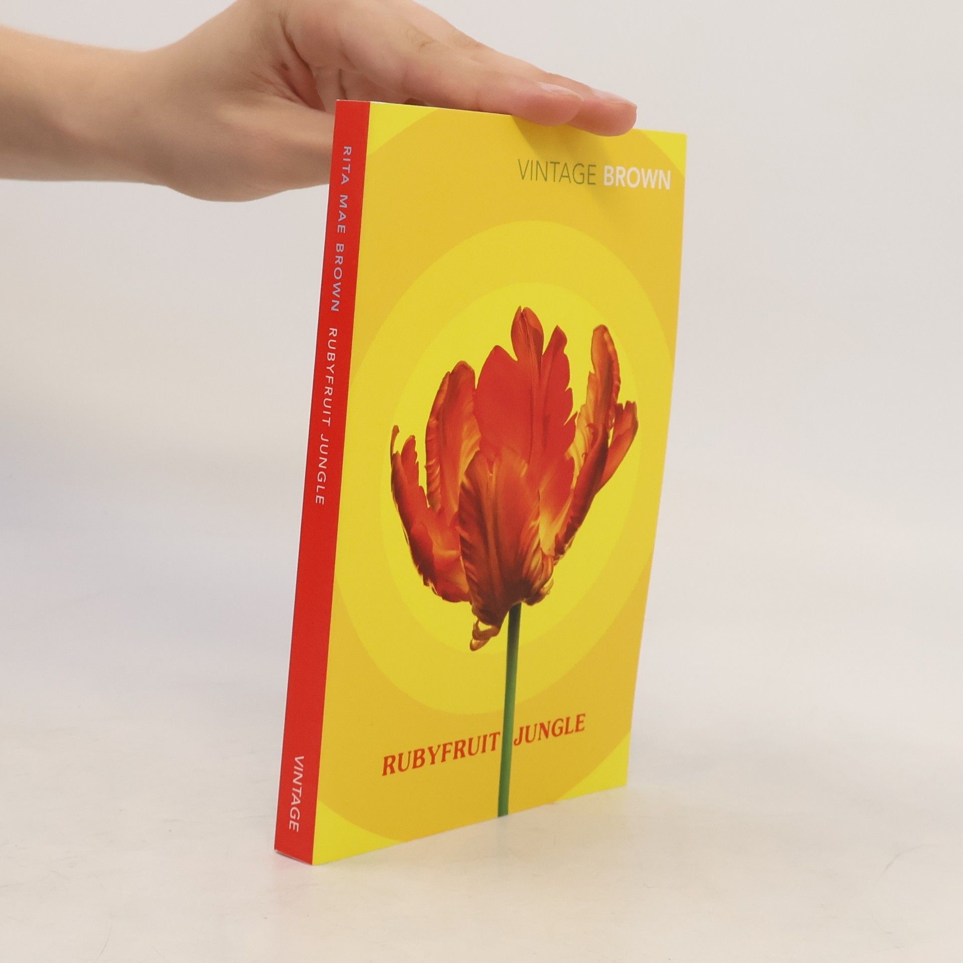 Rita Mae Brown Rubyfruit Jungle