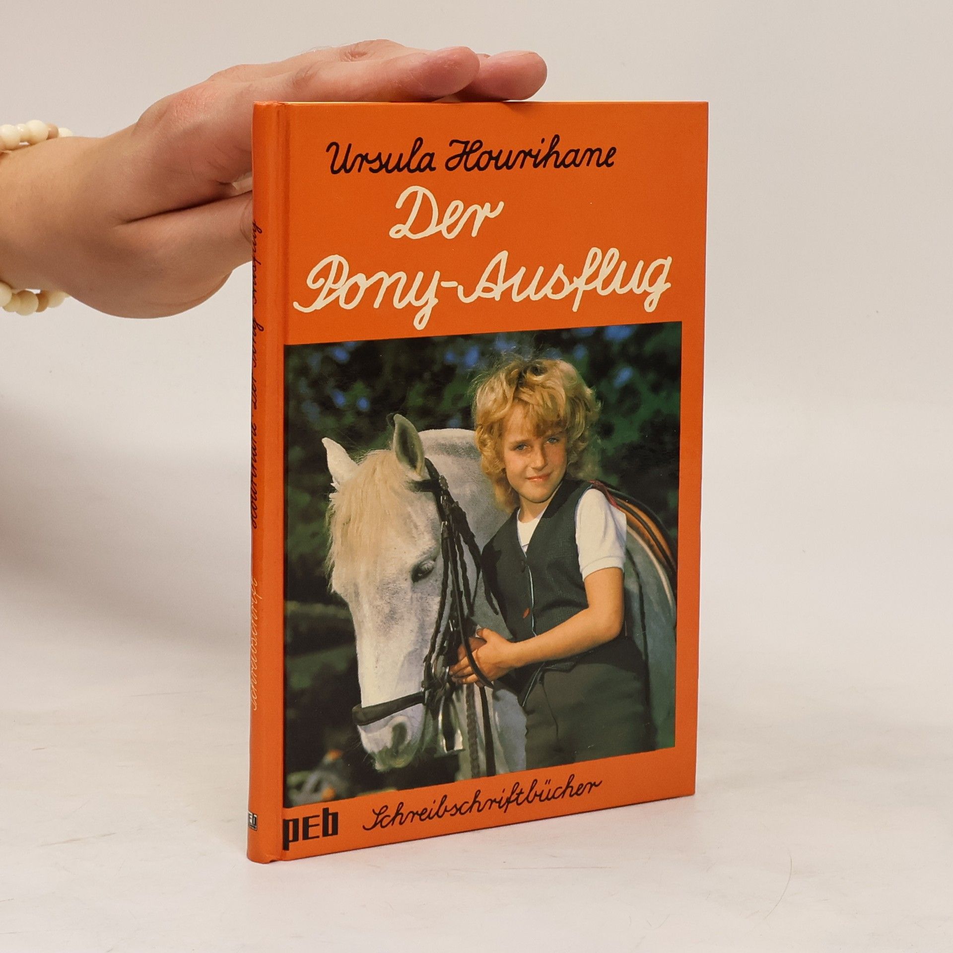 Ursula Hourihane Der Pony-Ausflug