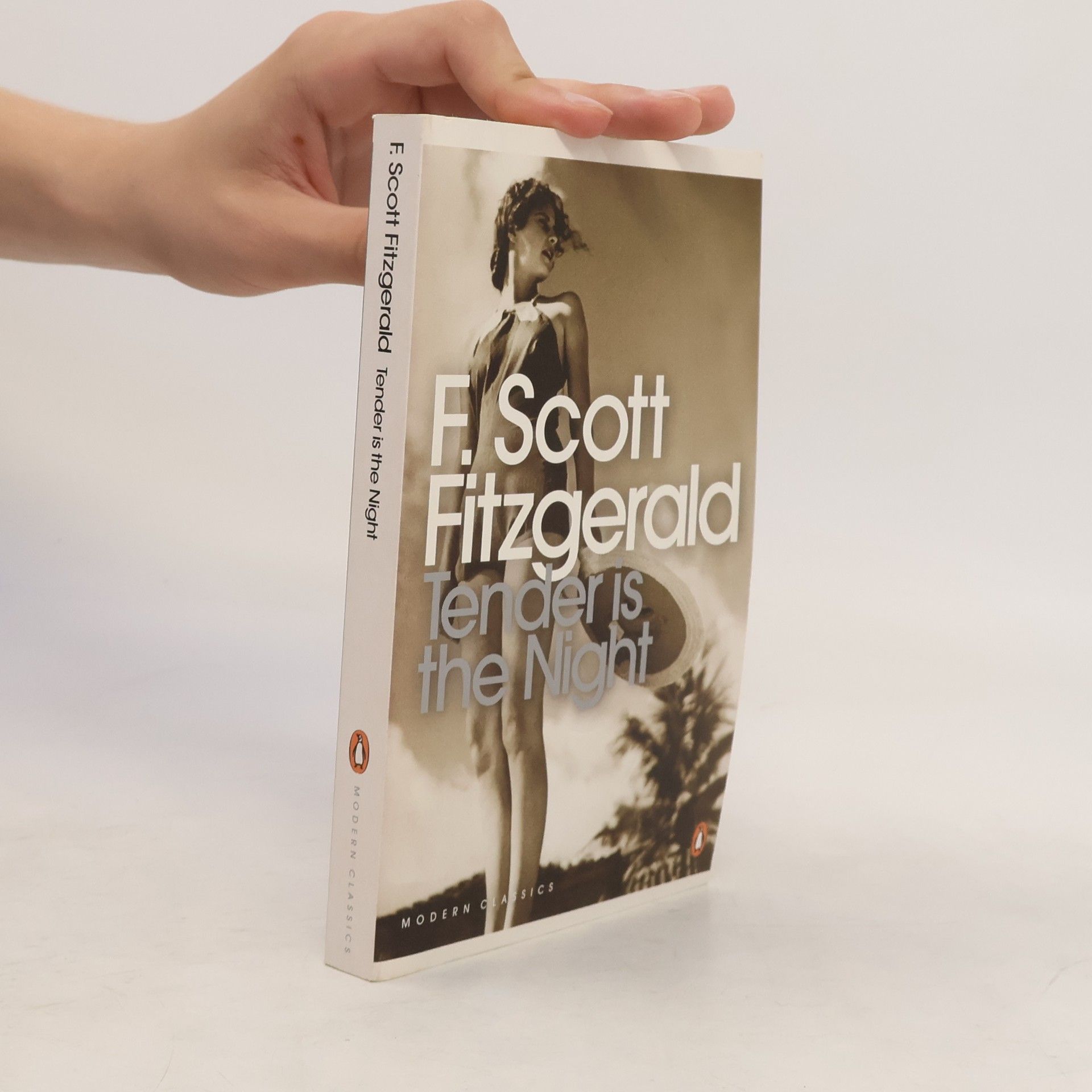 Francis Scott Fitzgerald Tender is the Night
