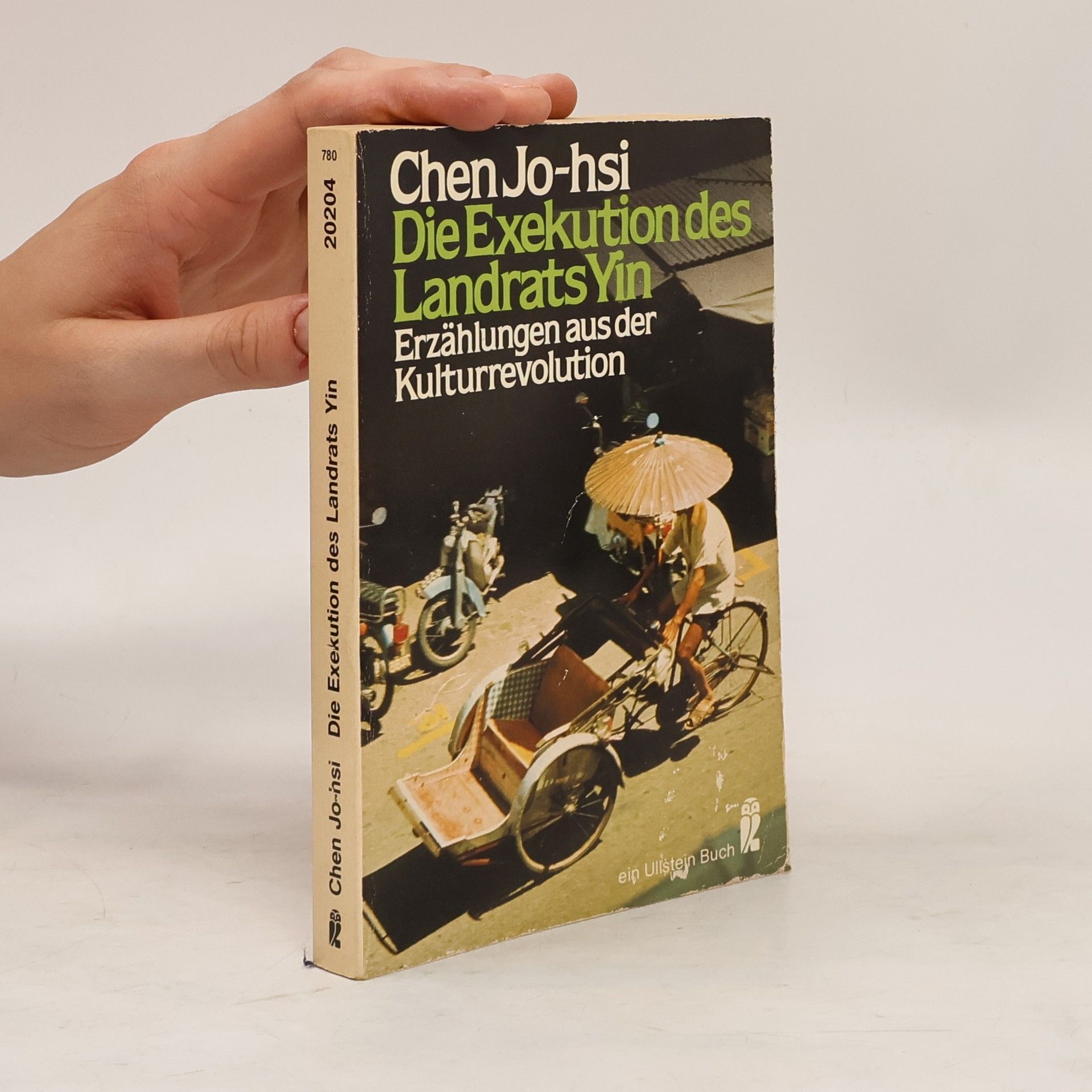 Ruoxi Chen Die Exekution des Landrats Yin