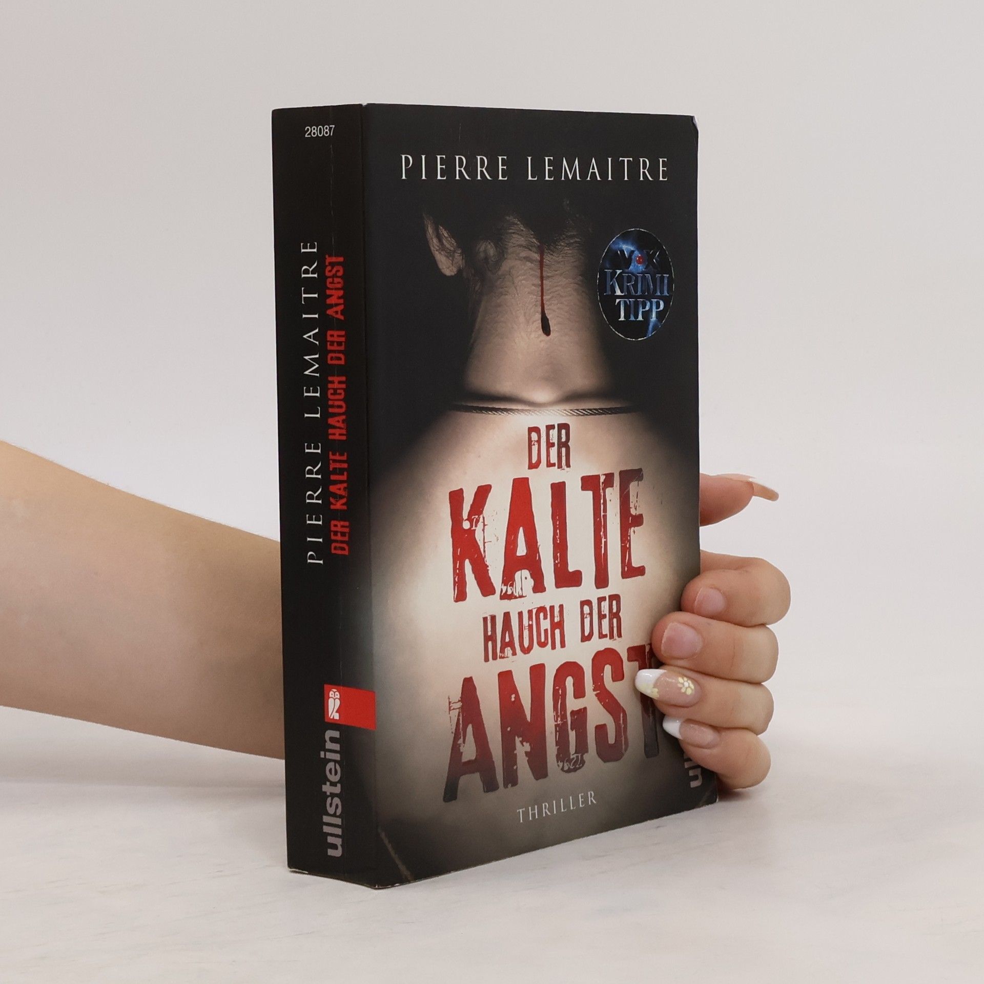 Pierre Lemaitre Der Kalte Hauch der Angst