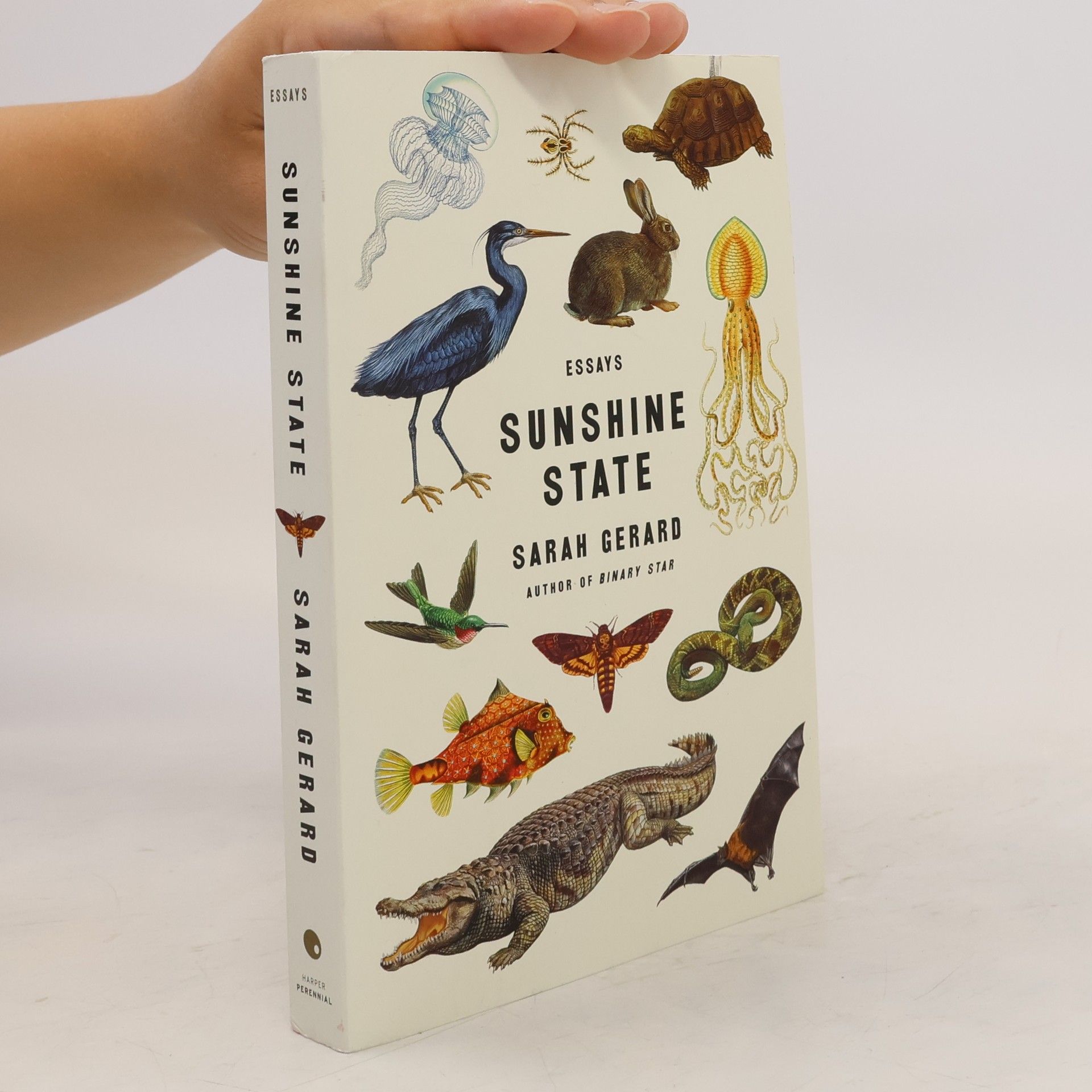 Sarah Gerard Sunshine State