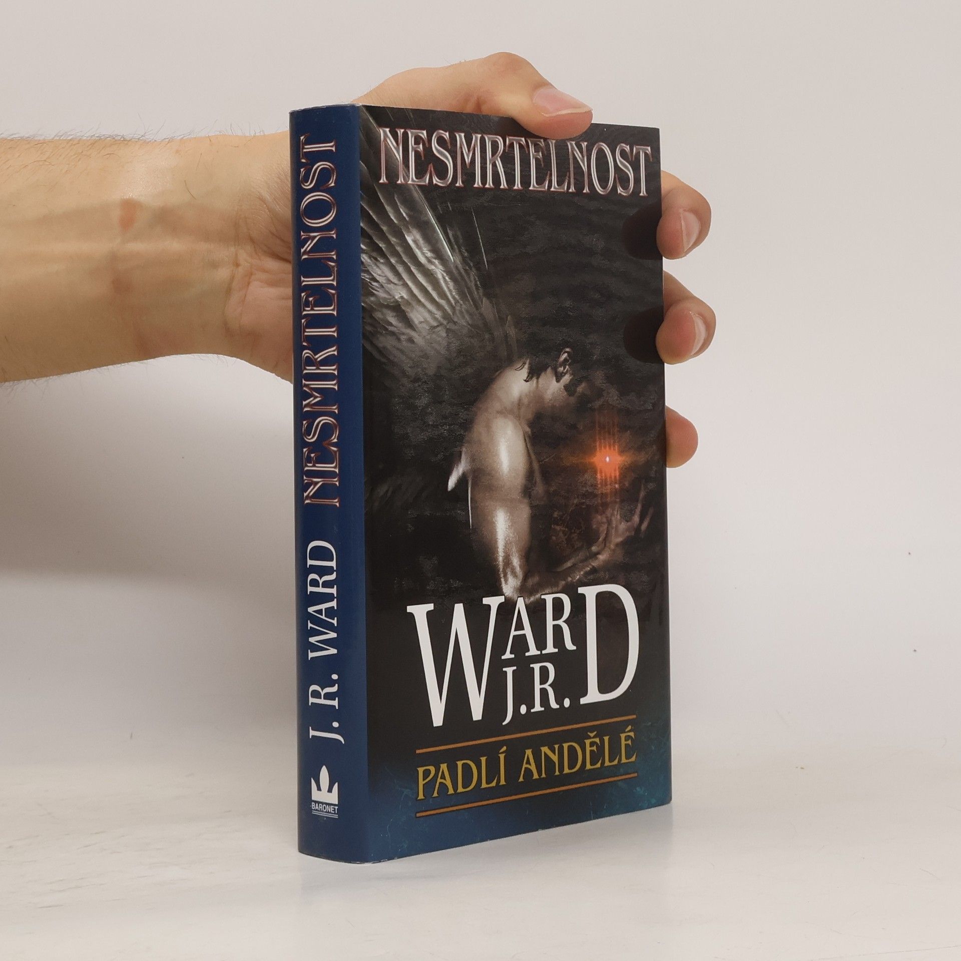 J. R. Ward Nesmrtelnost. Šestý díl románového cyklu Padlí andělé