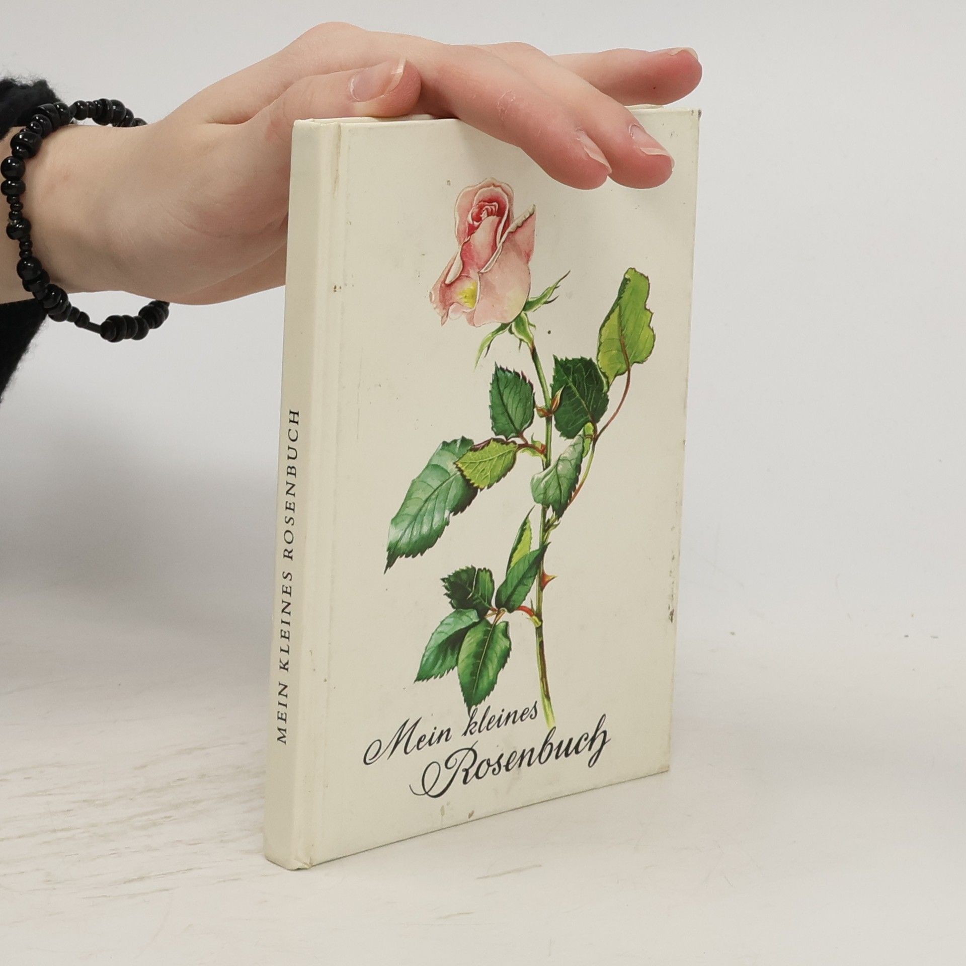 Brigitte Philippi Mein kleines Rosenbuch