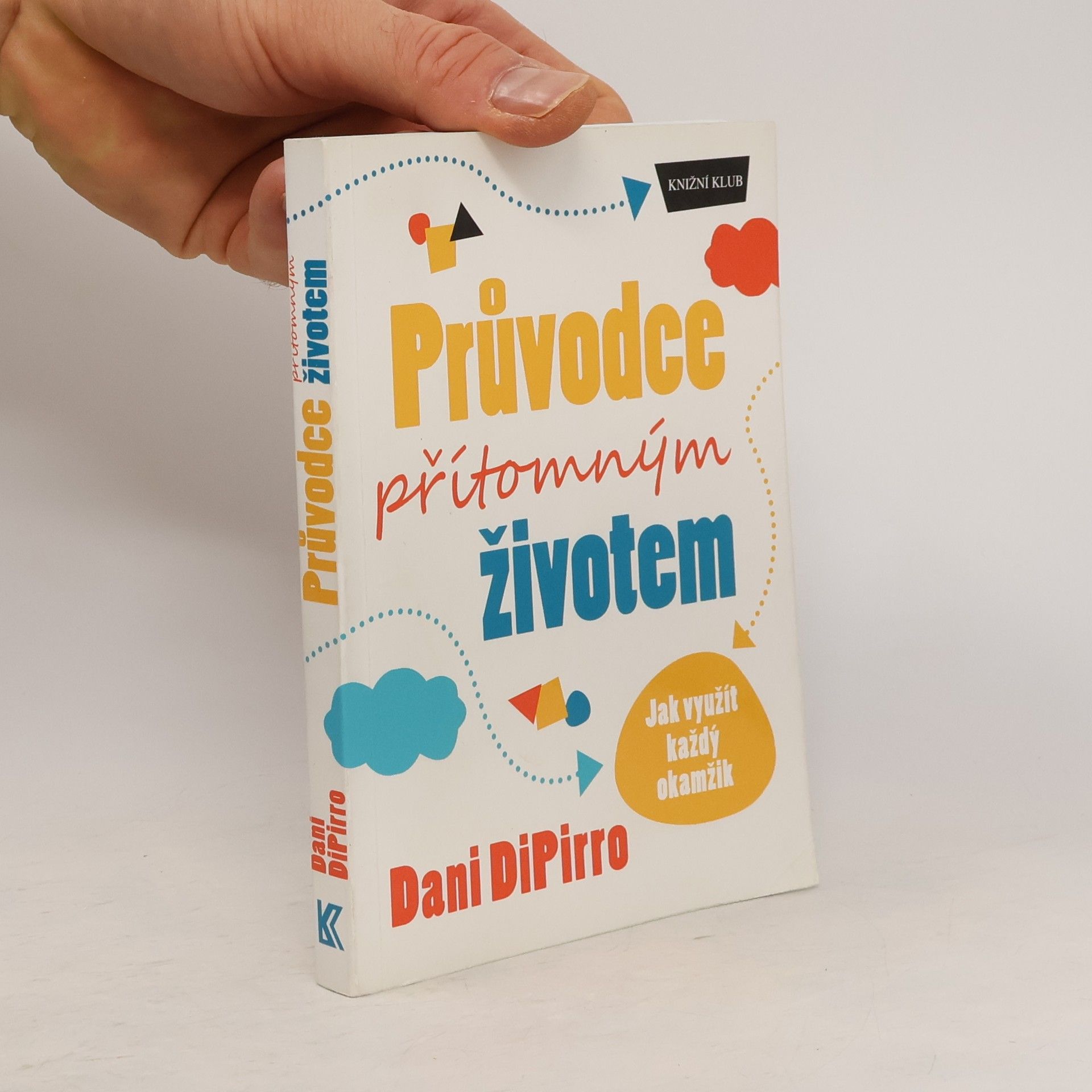 Dani DiPirro Průvodce přítomným životem: Jak využít každý okamžik
