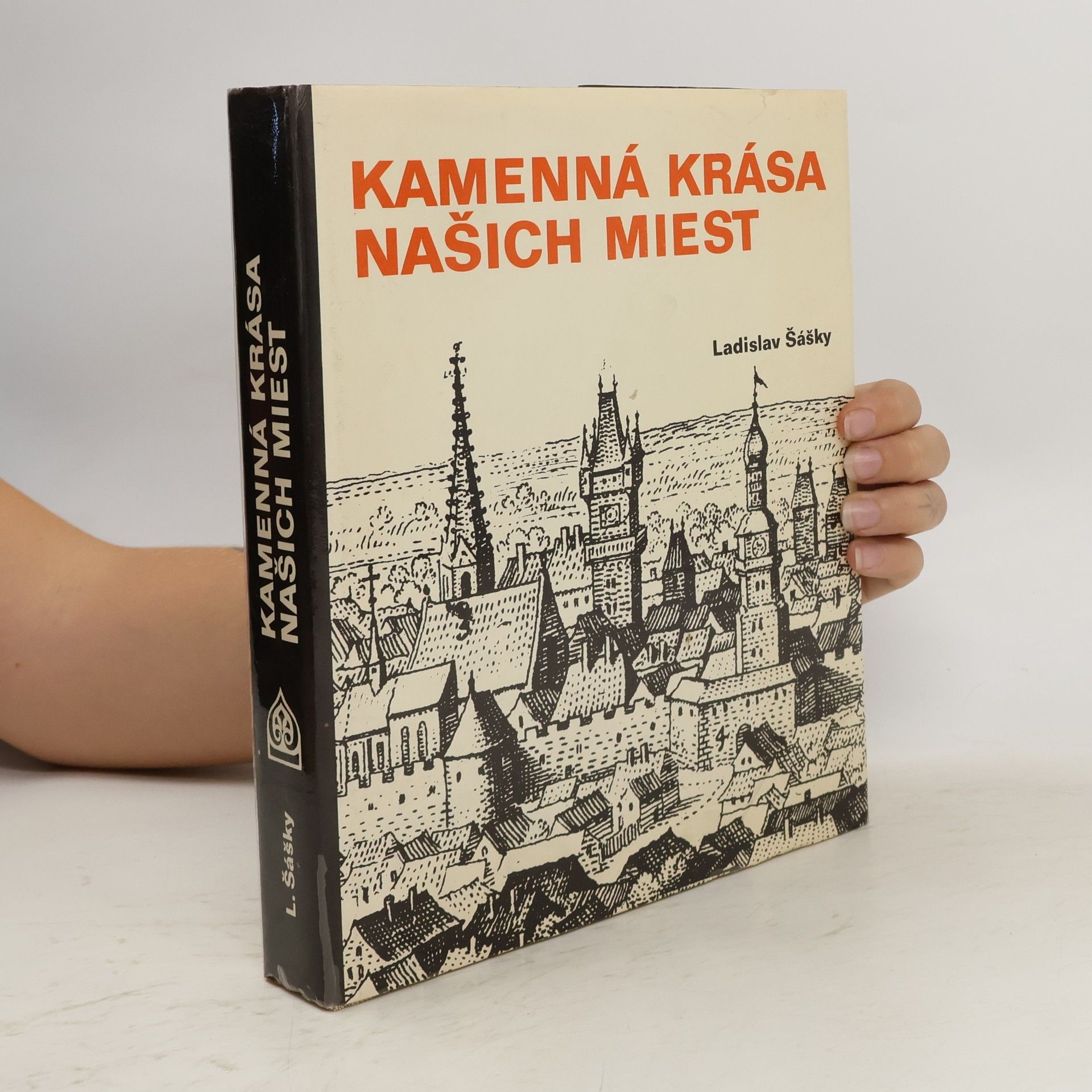 Ladislav Šášky Kamenná krása našich miest