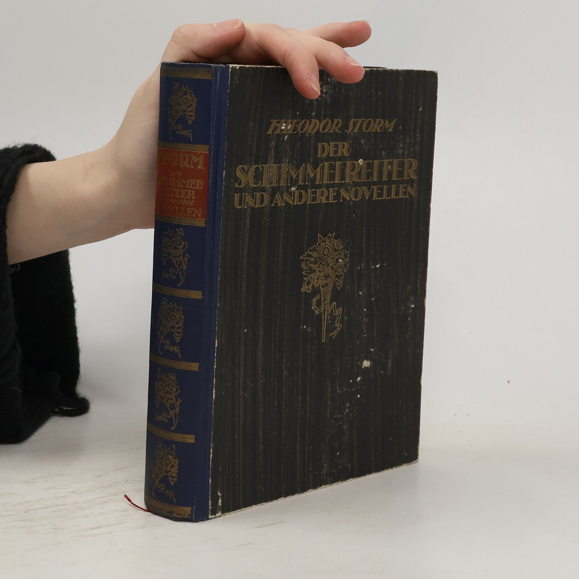 Theodor Storm Der Schimmelreiter und andere Novellen